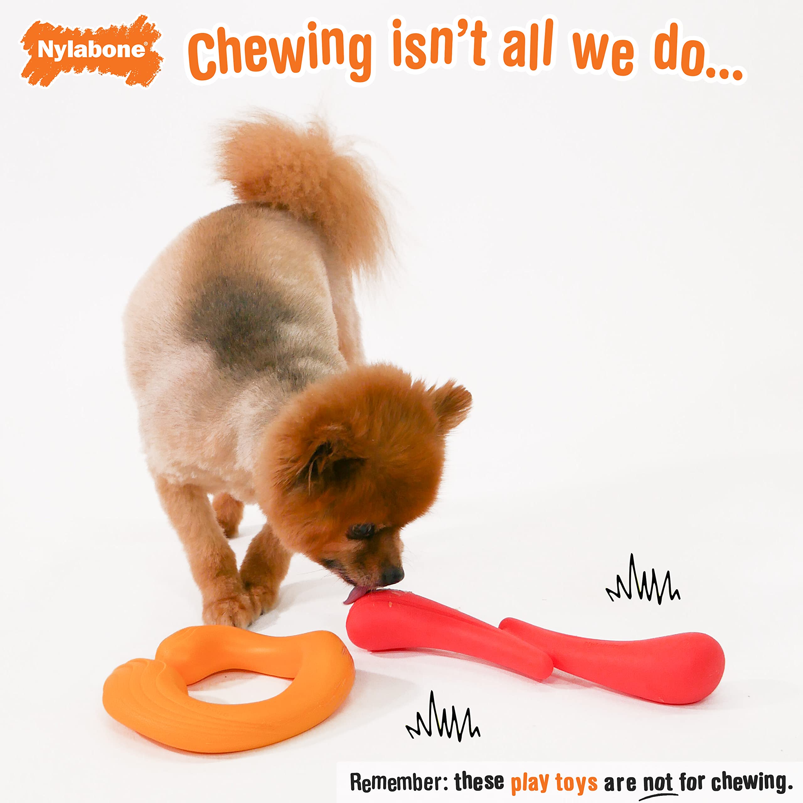 Nylabone Stik-GO y C-Shuu Paquete de juguetes interactivos para perros para enriquecimiento de perros - Juguetes flexibles flotables para juegos creativos y ejercicios para perros (Stik-GO y C-Shuuu)