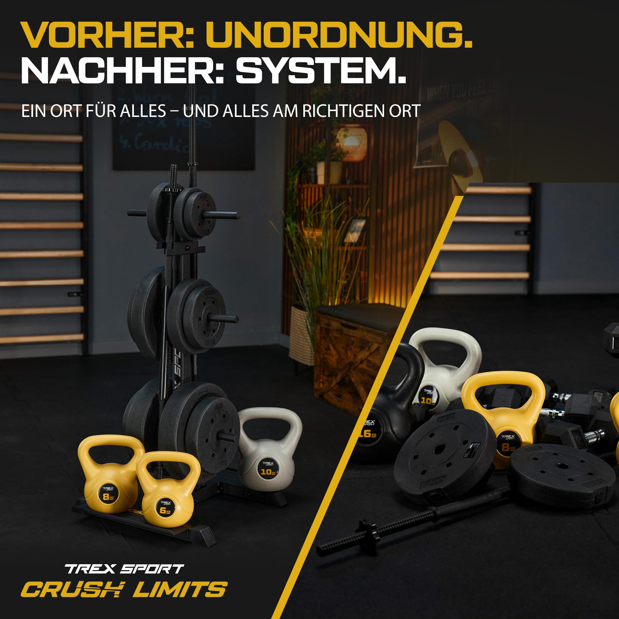 TREX SPORT Hantelscheibenständer Home Gym Hantelablage bis 360 kg TX-065WR