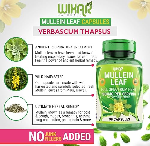 Miniatura 4 de Cápsulas de hoja de gordolobo – 90 cápsulas – Suplemento de hierbas que apoya la función respiratoria saludable y las membranas mucosas – 1000 mg –