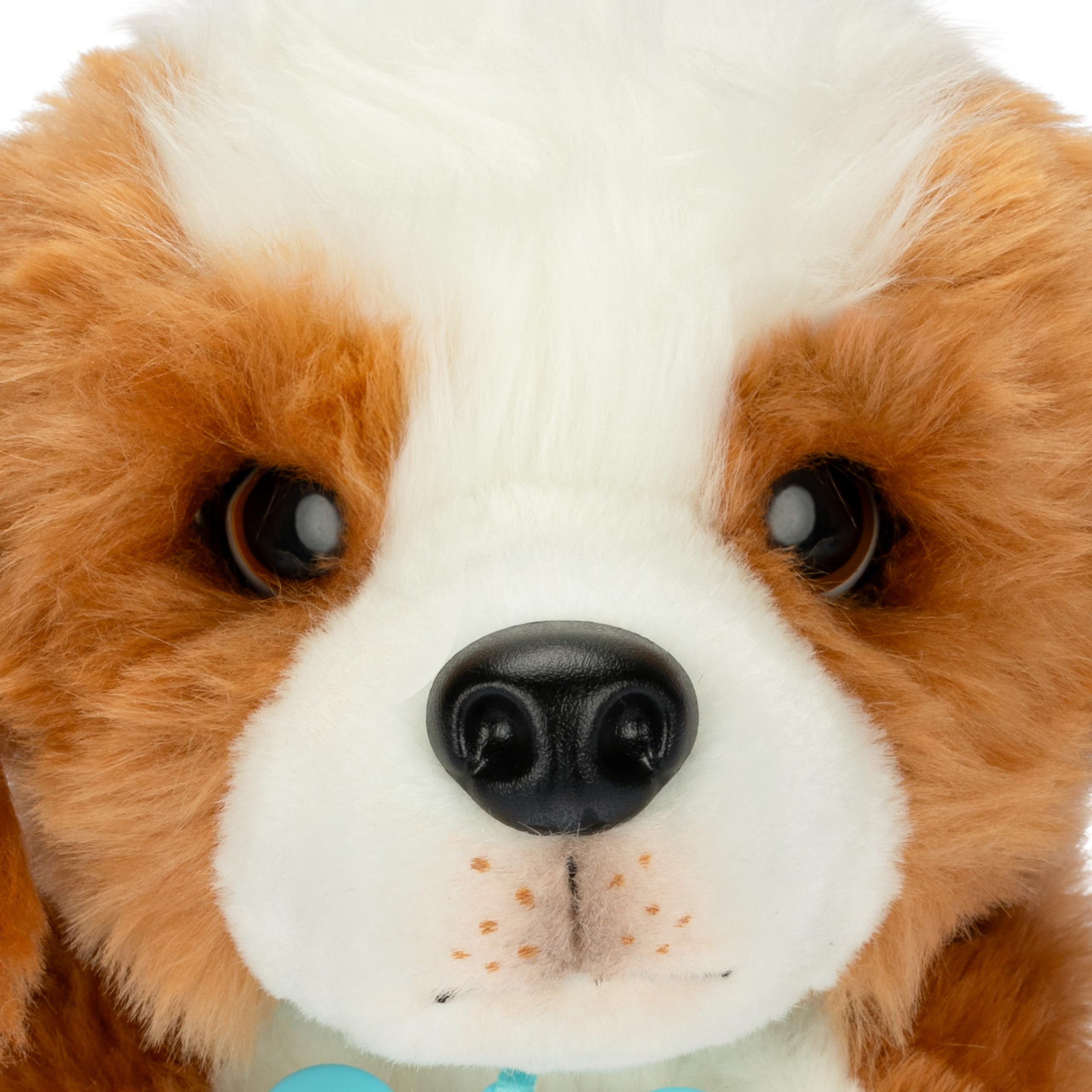 Little Live Pets My Really Real Puppy Patches Le Beagle | Peluche Interactive. 60 Sons et réactions. Fourrure Douce, Pattes lestées, Yeux Mobiles. 72 Versions. Caisse Deluxe. avec Piles. 4 Ans et +