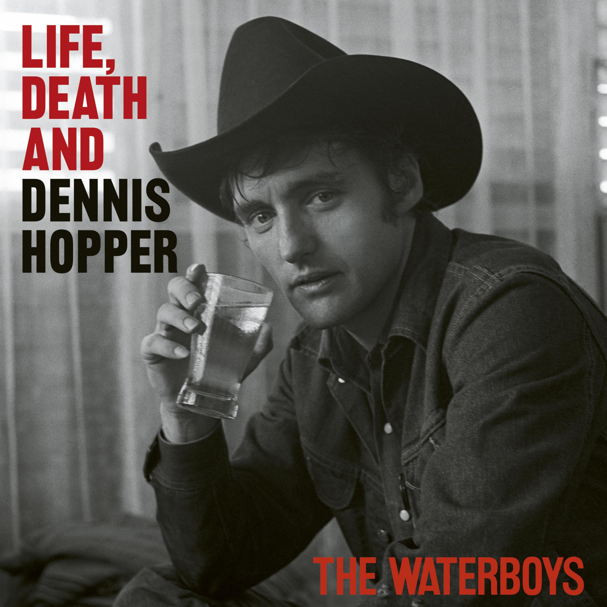Life, Death, & Dennis Hopper [VINYL]