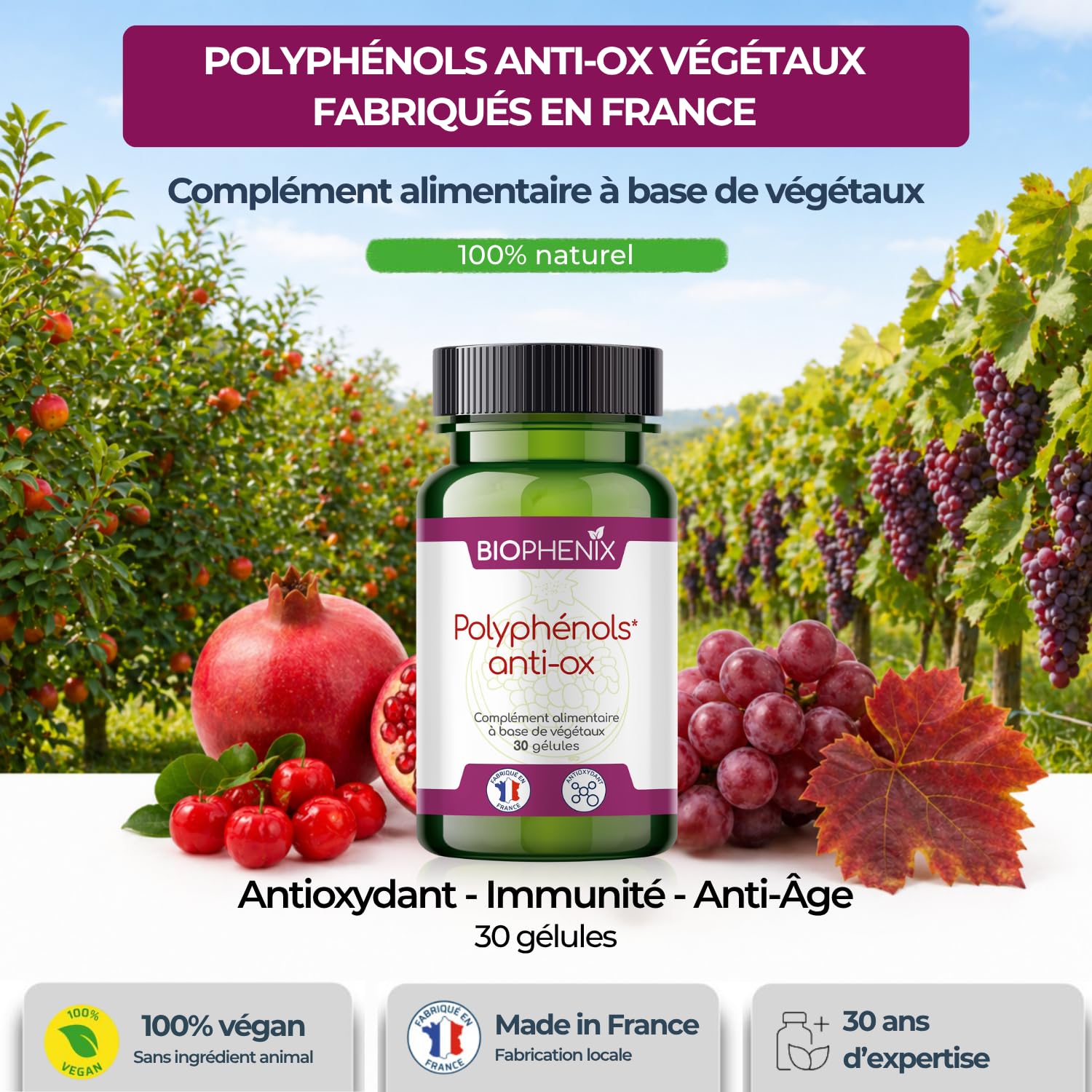 Biophénix - Polyphénols Anti-Ox 30 Gélules - Complément 100% Naturel à Base de Végétaux - Antioxydant, Anti-Inflammatoire,Anti-Vieillissement Vitamine E - Fabriqué en France - 2 Gélules/Jour