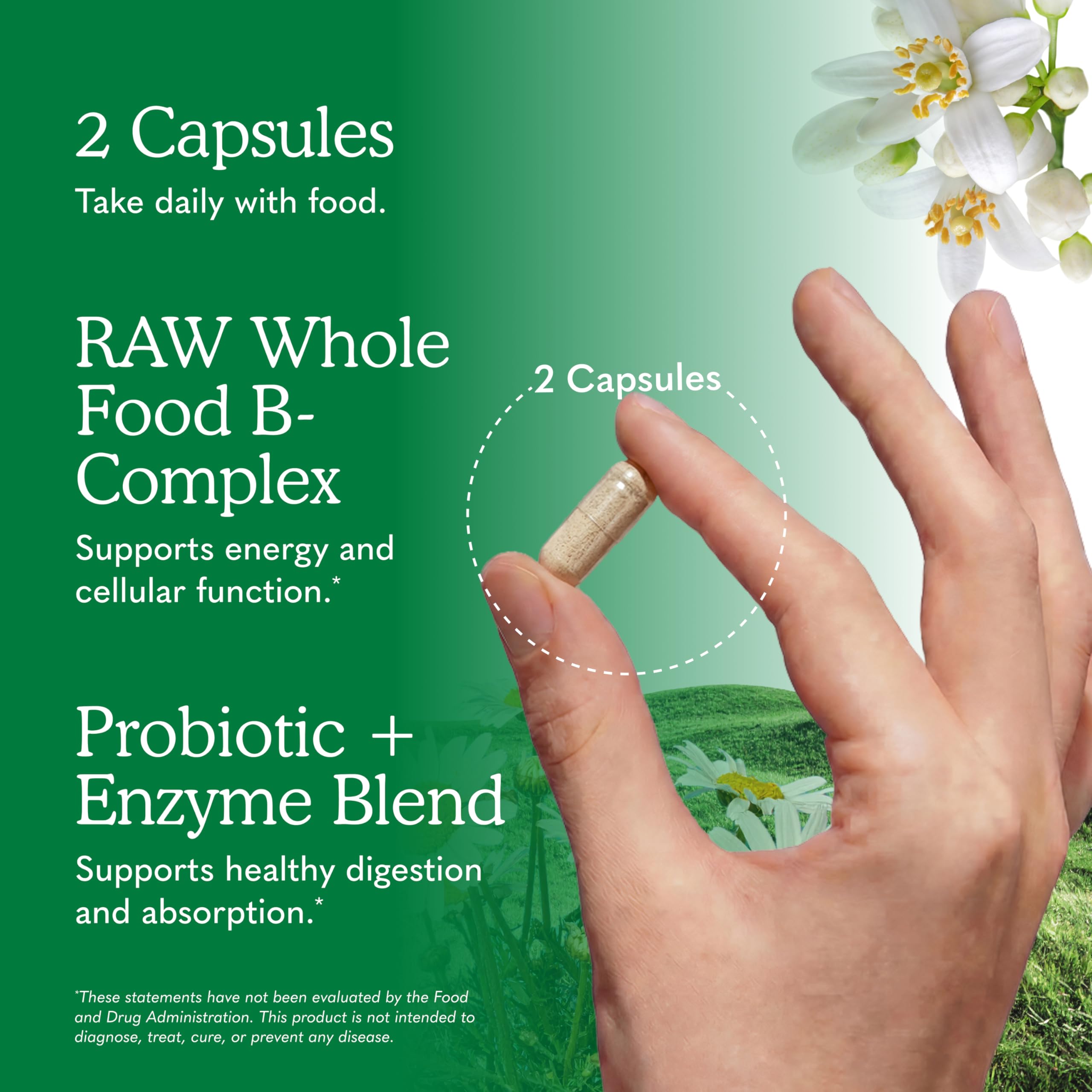 Garden of Life Vitamin Code Raw B-Complex, 120 Vegan Capsules — Amazon image 5