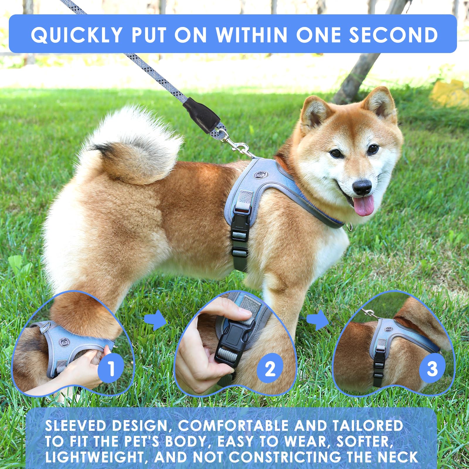 Dog Harness and Leash Set, No Pull Saddle Style Pet Harness, Breathable Mesh Adjustable Reflective Dog Vest for Dogs and Cat Medium Small Harness 2 D-Rings (Blue, L) - image 5