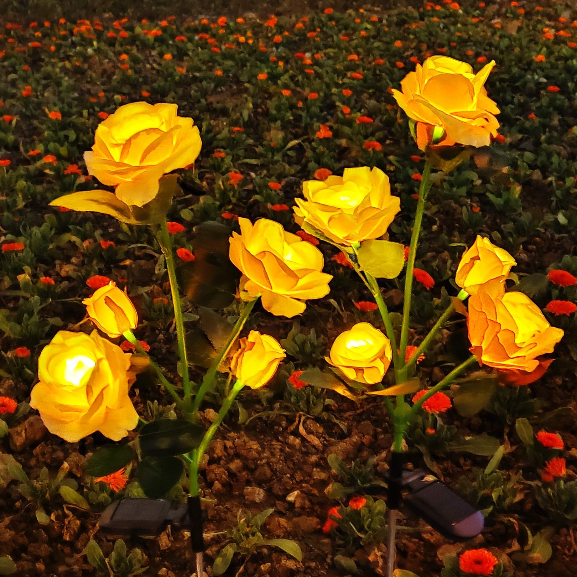 SmilingTownSolar Garden Stake Lights 2 Pack with 10 Rose Flowers Landscape Path Decorative Lights Waterproof for Outdoor Yard Grave Cemetery Pathway Courtyard Lawn (Yellow)
