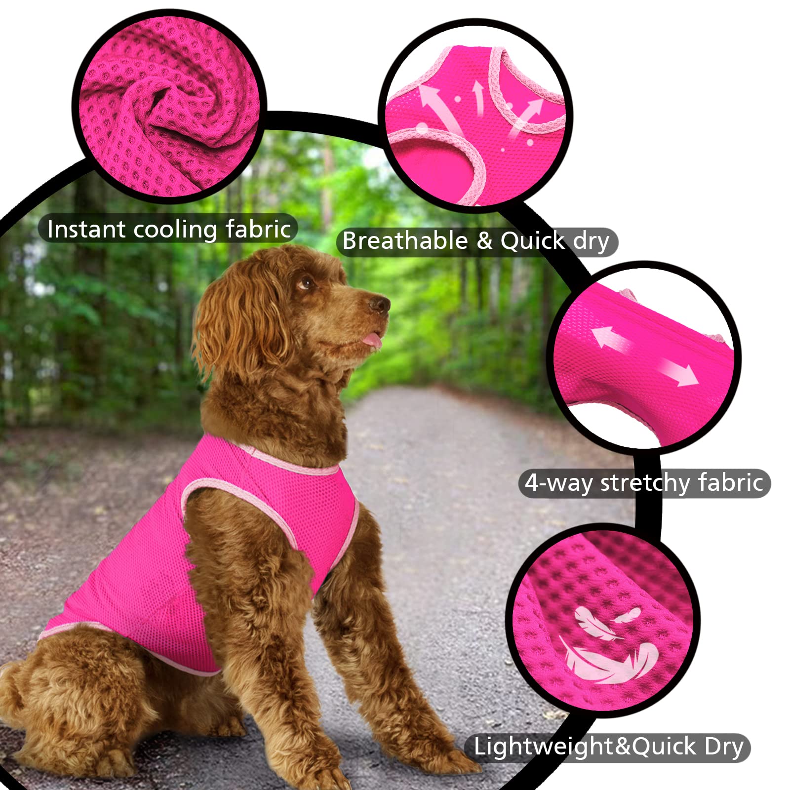 Paquete de 2 camisas de secado rápido para perro, ropa de malla ligera transpirable para perros medianos y niñas, camisas sin mangas con protección solar para perros y gatos, chaleco para