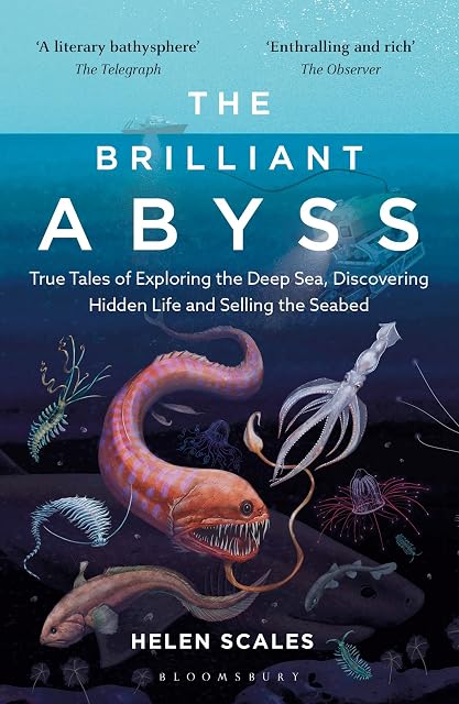 Portada de The Brilliant Abyss