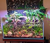 Review Image by MinnesotaRun MinnesotaRun