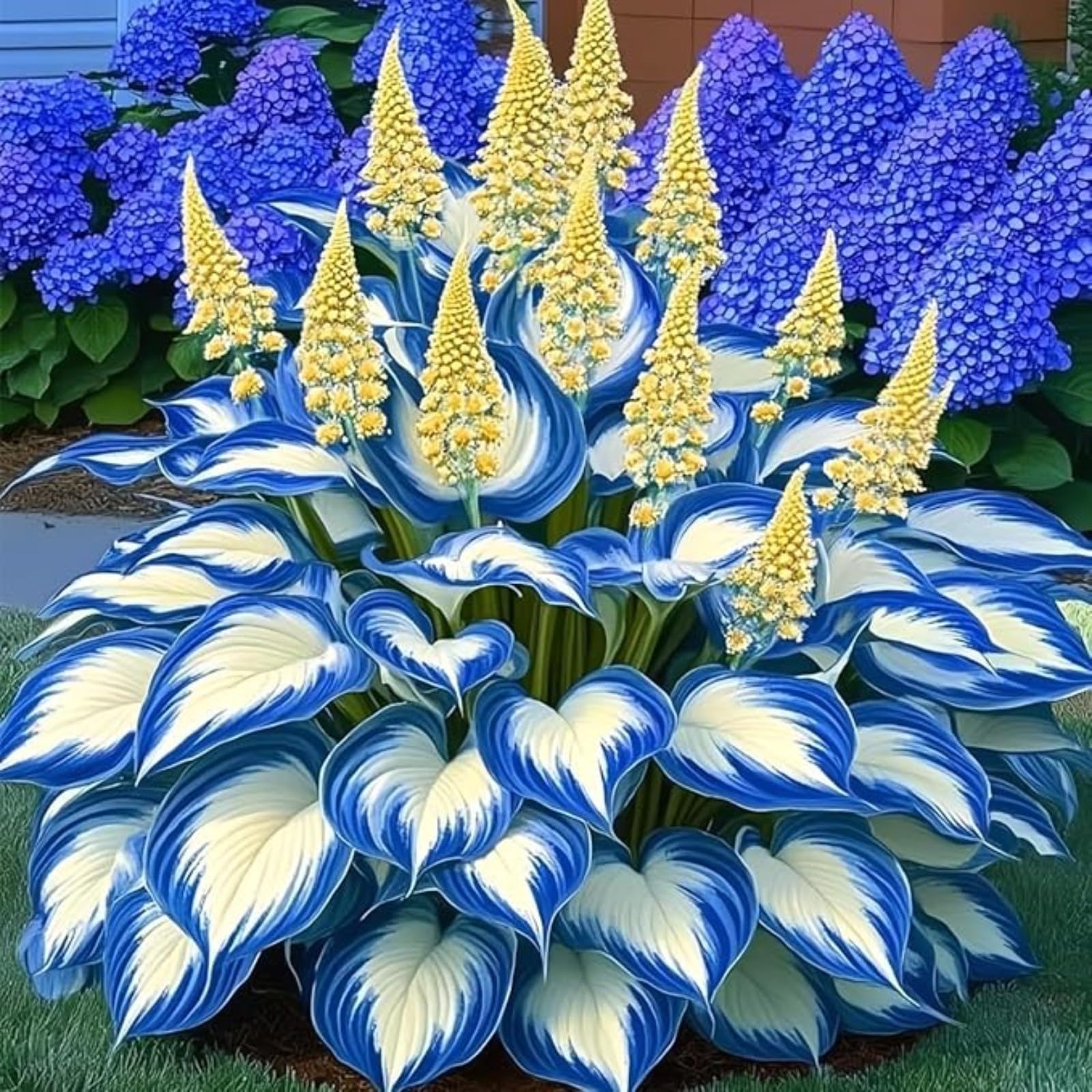 Excellent Hostas Bulbs for Planting Now UK Natural Organic Greening Good for Containers Display Plant Professional Ornamental Easy Plant Perennial-15Bulbs-J โ image 1