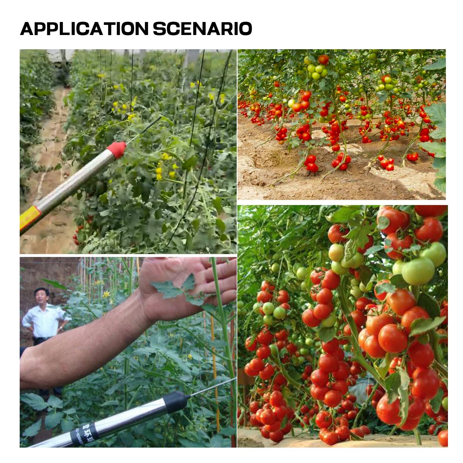 Pollinatore elettrico per pomodori, impollinatore di verdure, con batteria al litio integrata da 6500 mAh, per giardini interni, uso su pomodori, peperoni