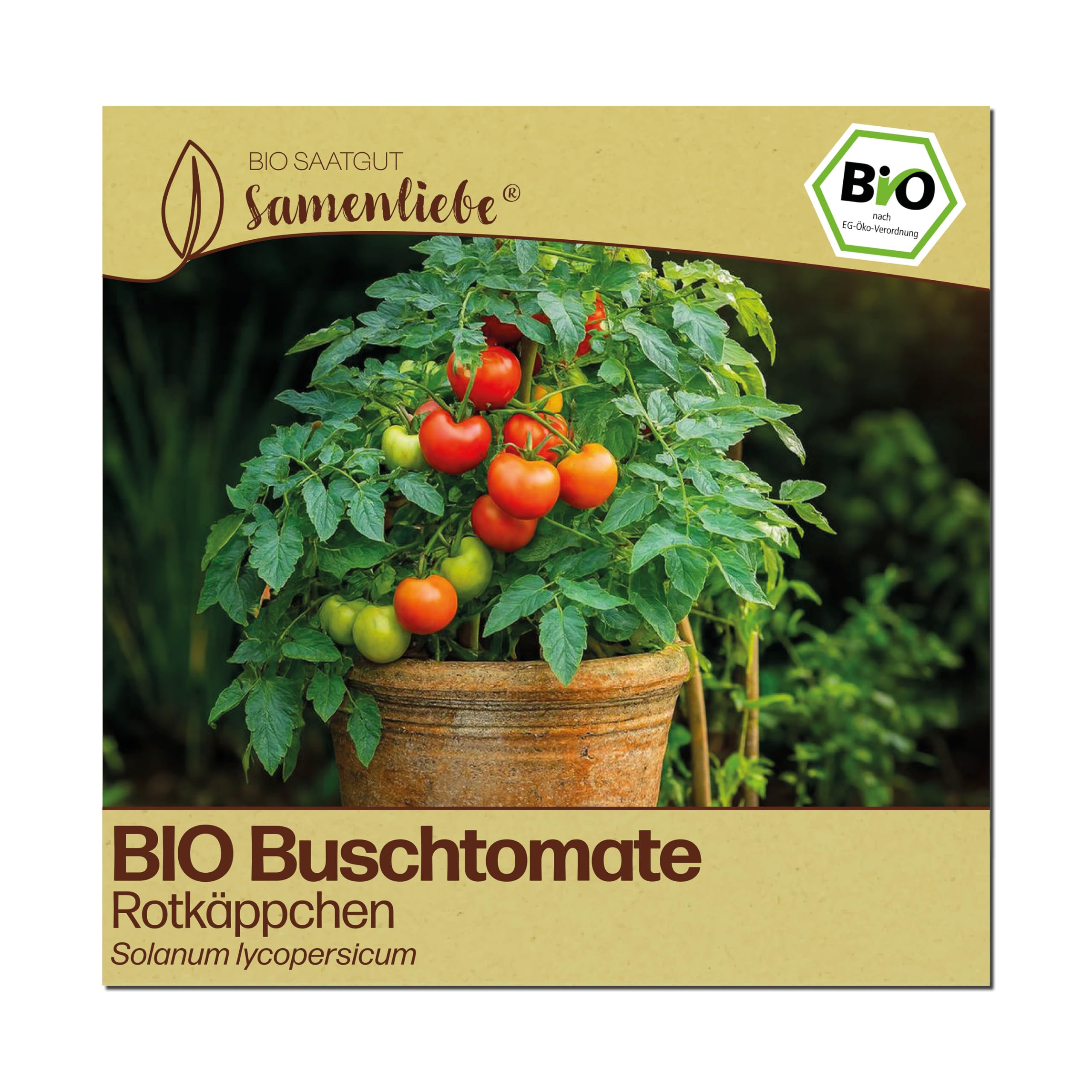 Samenliebe BIO Tomaten Samen | Buschtomate Rotkäppchen - kleine Balkontomate - samenfestes BIO Saatgut