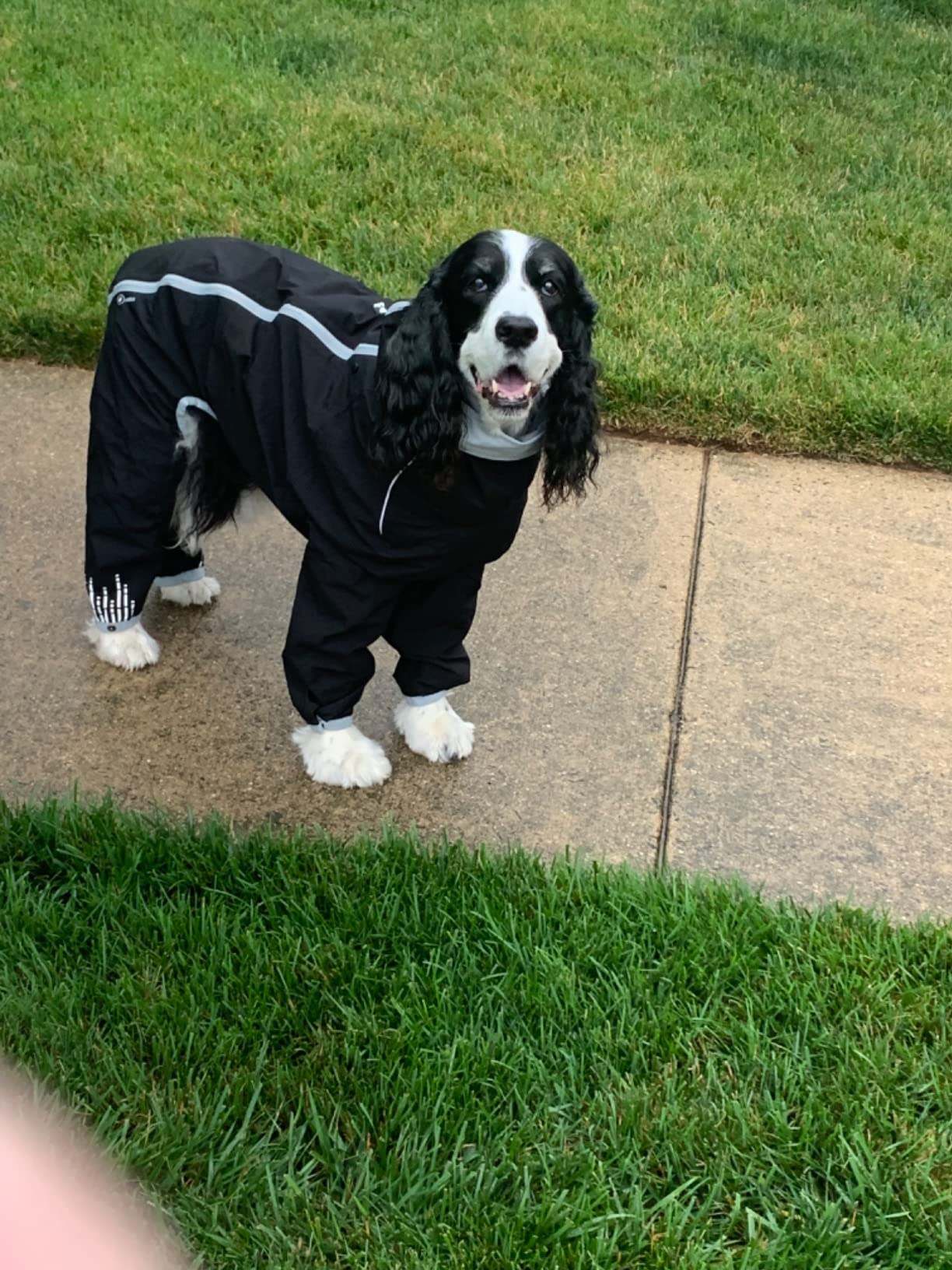 19/mo Finance Hurtta Downpour Suit, Weatherproof Dog Rain/Snow Coat