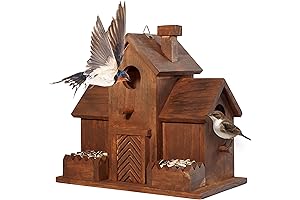 MIXUMON Bird House and Feeder Combo: Outdoor Haven for Your Feathered Friends