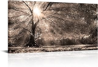 LevvArts Big Tree Sunshine Wall Art Canvas Nature Forest Landscape Pictu...