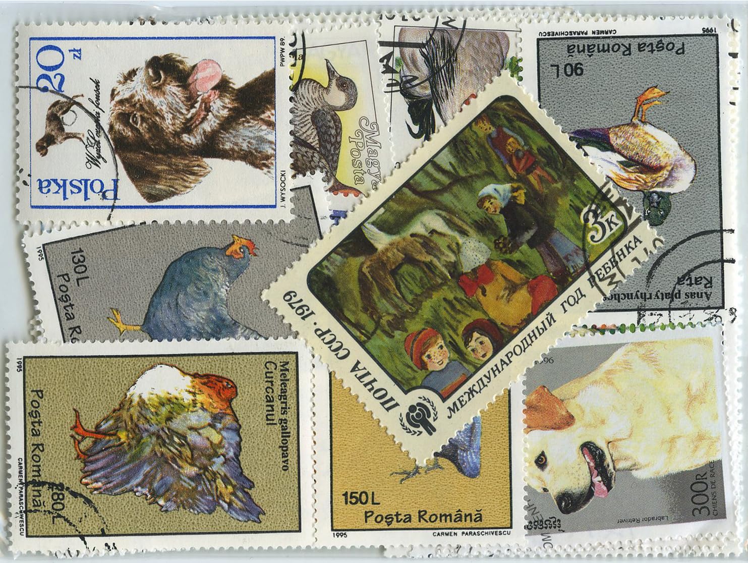 PULKO HistorY 1970 100 Çeşit Damgalı Tematik Lot, Profesyonel Kutulama, Şeffaf Asetat Ambalajlı, Kartelalar Üzerine Dizili, Evcil Hayvanlar