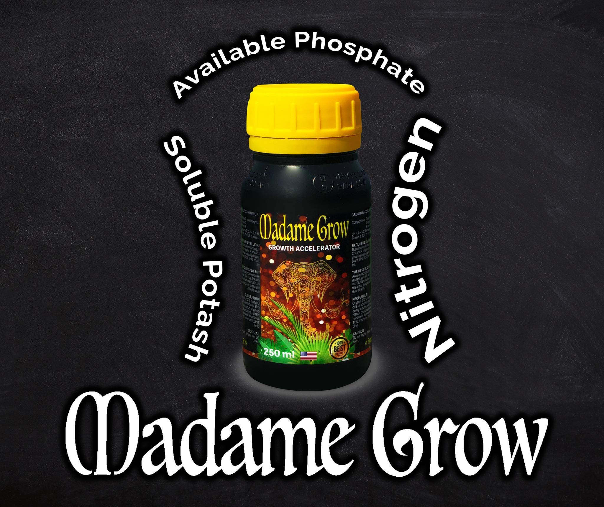 MADAME GROW Fertilizante plantas verdes - Abono para plantas verdes - Abono líquido para plantas - Fertilizante para el crecimiento universal - Fertilizante para la floración (KIT KINGSTONE 3x1L)