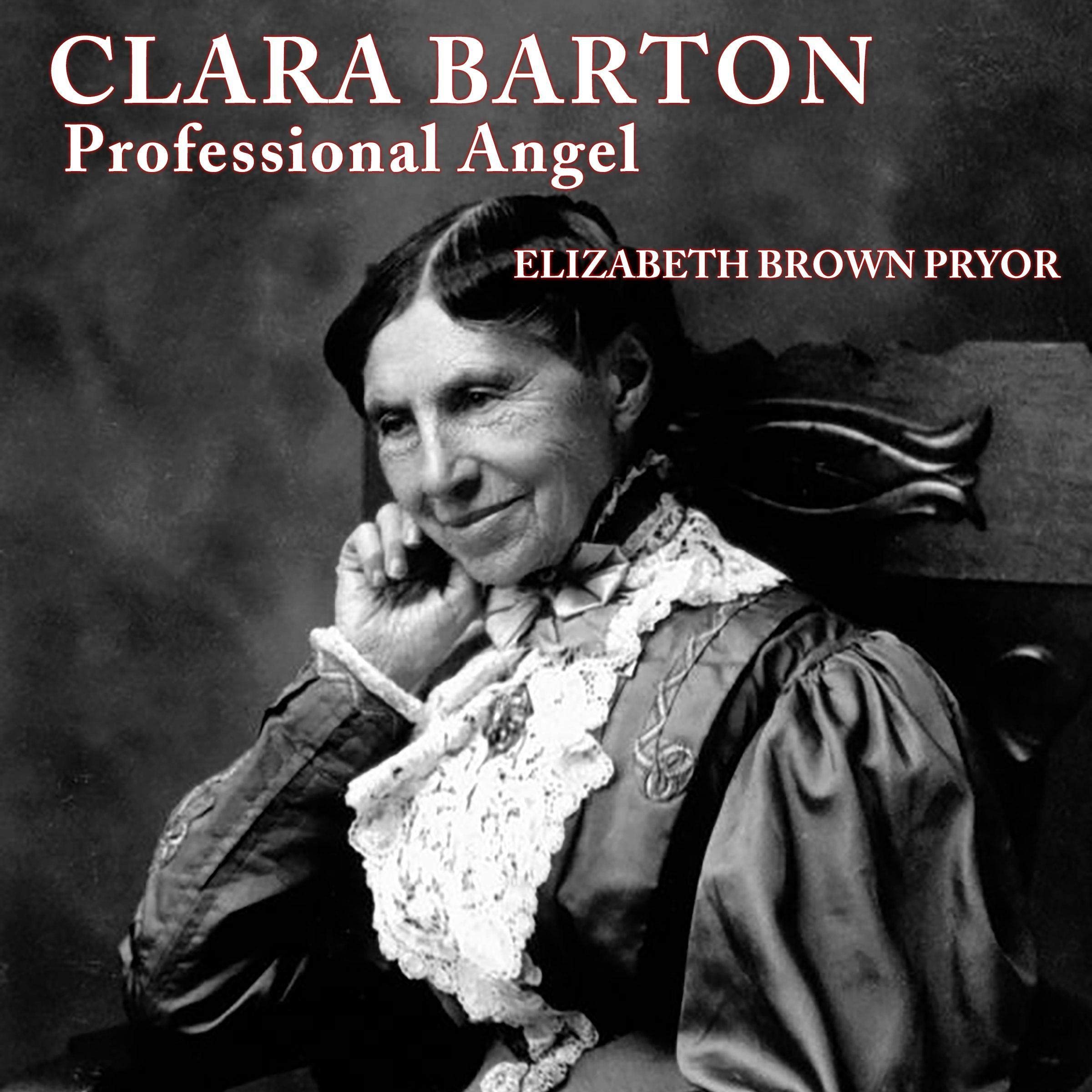 Clara Barton, Professional Angel