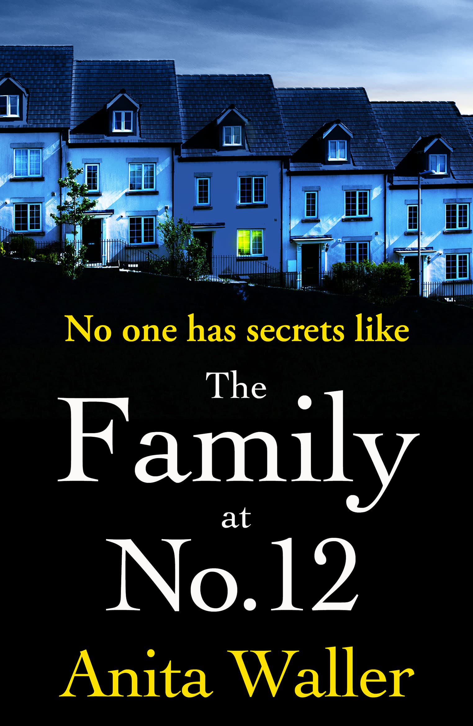 The Family at No. 12: The explosive, addictive psychological thriller from Anita Waller