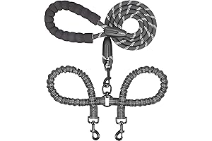 Newly Upgraded Retractable 2 in 1 Dog Leashes: Say Goodbye to Walking Two Dogs Separately