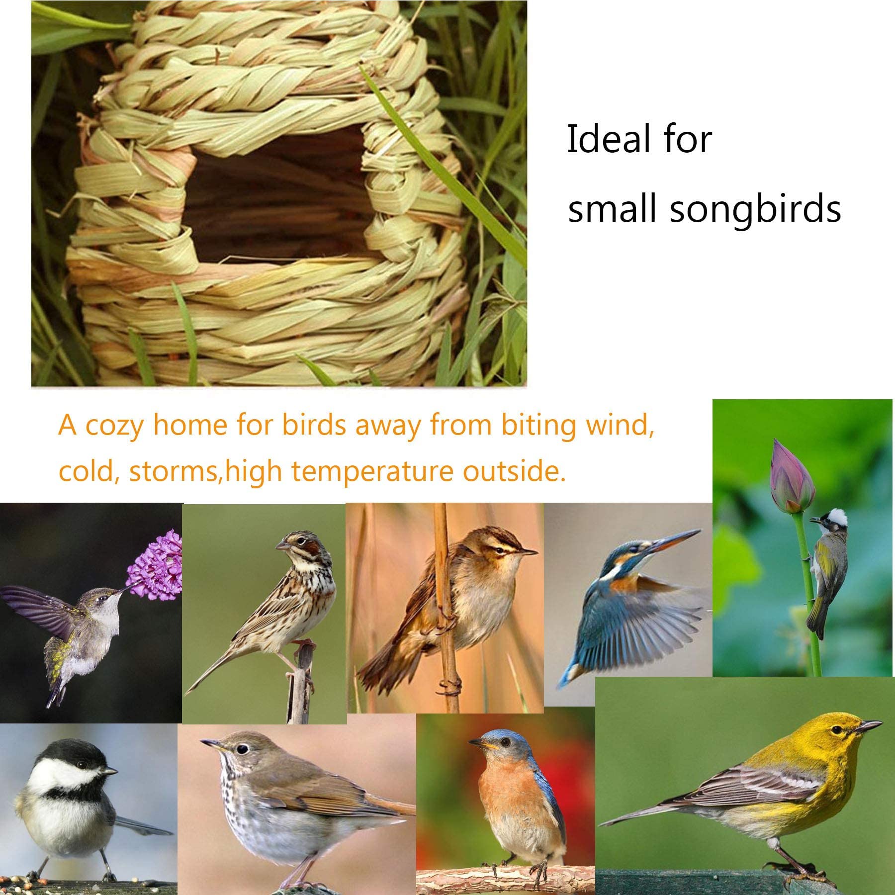  Birds　Dyynia Chic Loft Cage & Furniture for Small Birds - Zolux | DYNO.CA