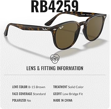 Amazon.com: Ray-Ban RB4259F Phantos Shaped Non-Polarized