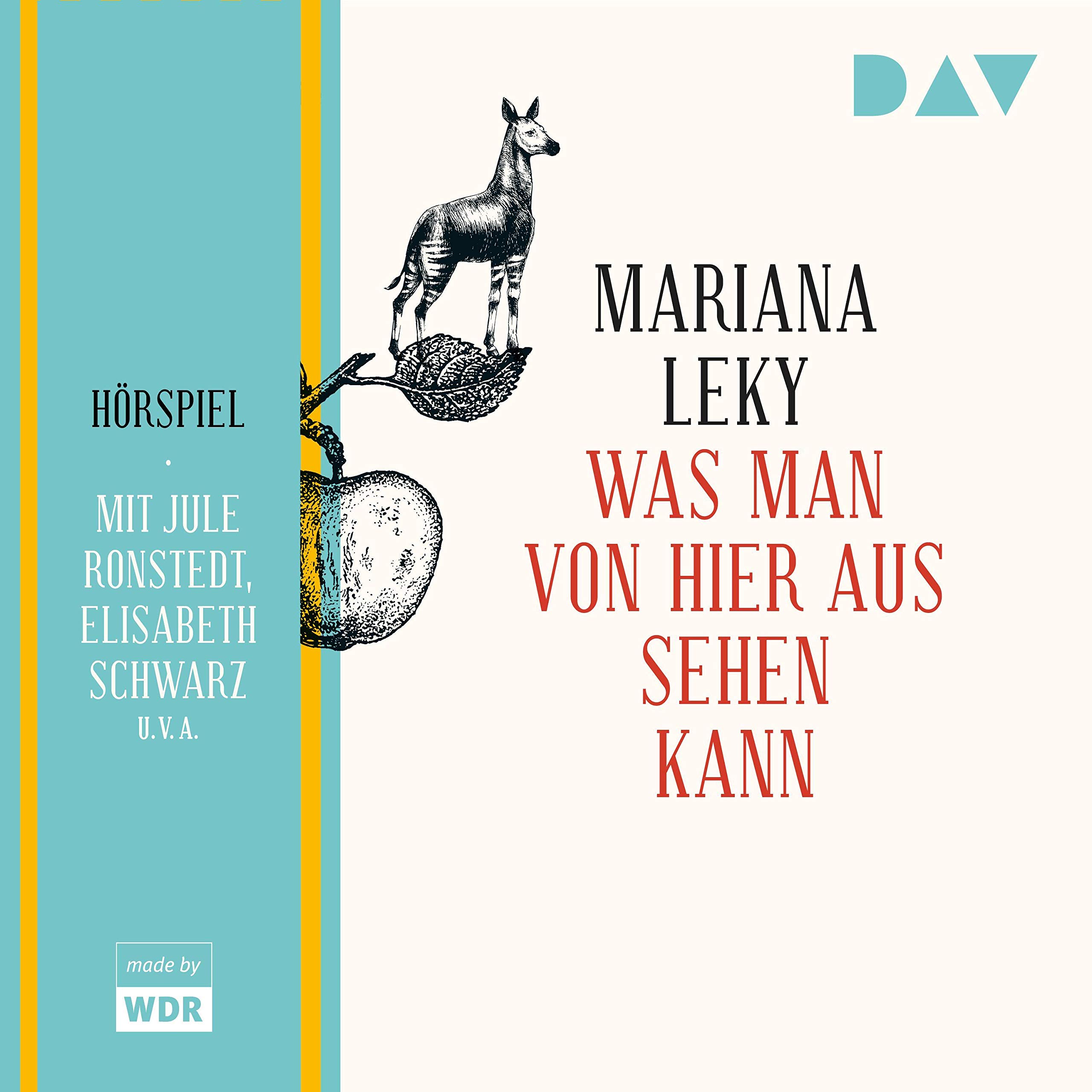 Cover art for Was man von hier aus sehen kann