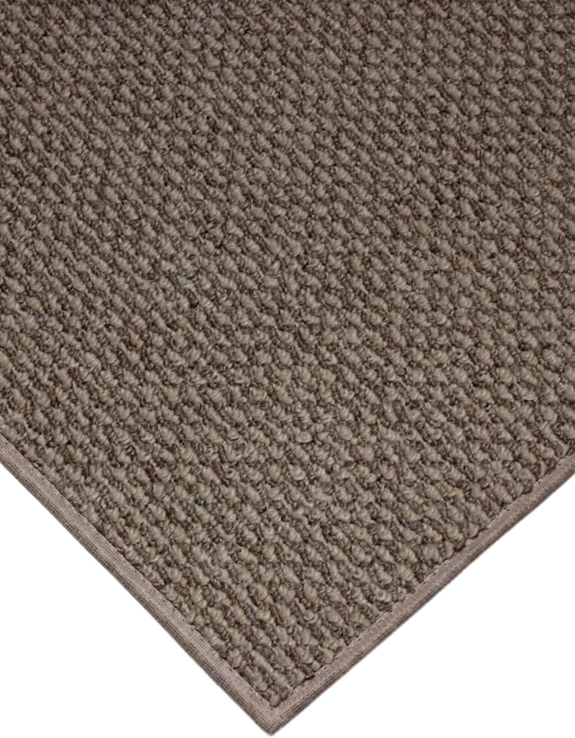 Amazon.com: KOECKRITZ Indoor - Outdoor Area Rugs & Runners. Great for ...