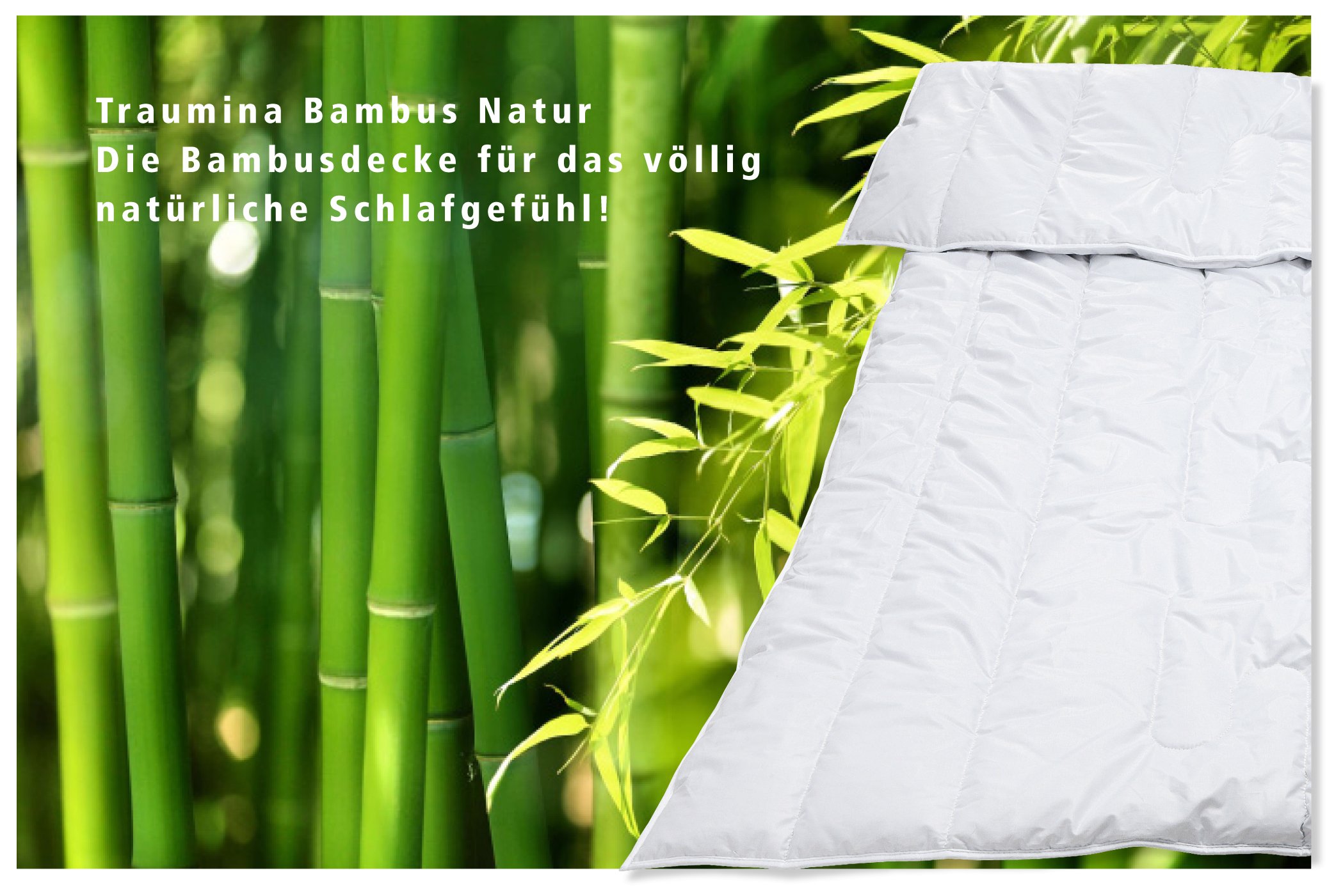 Exclusive Bambus solo Einziehdecke Wärmeklasse 1 Größe 135x200 cm