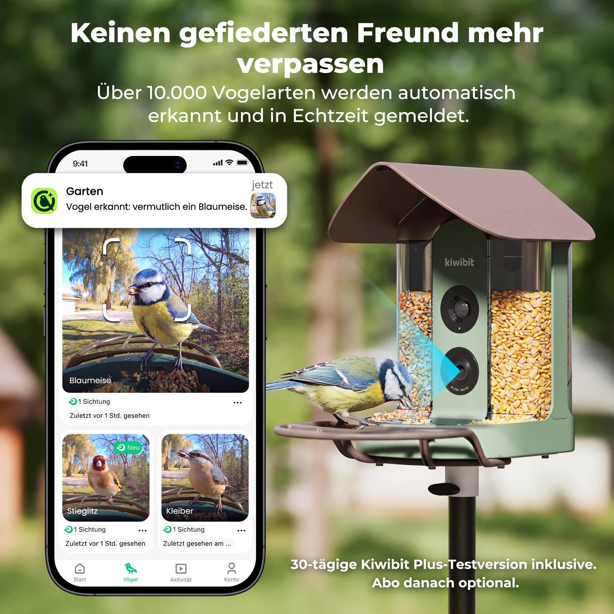 Kiwibit Smart Vogelhaus, 4K Kamera, KI-Erkennung ohne ABO, Mit Solarpanel | Live-Ansicht, KI-Vogelerkennung ohne Abo, Echtzeit-Alarm, 8MP Fotos und Nachtsicht