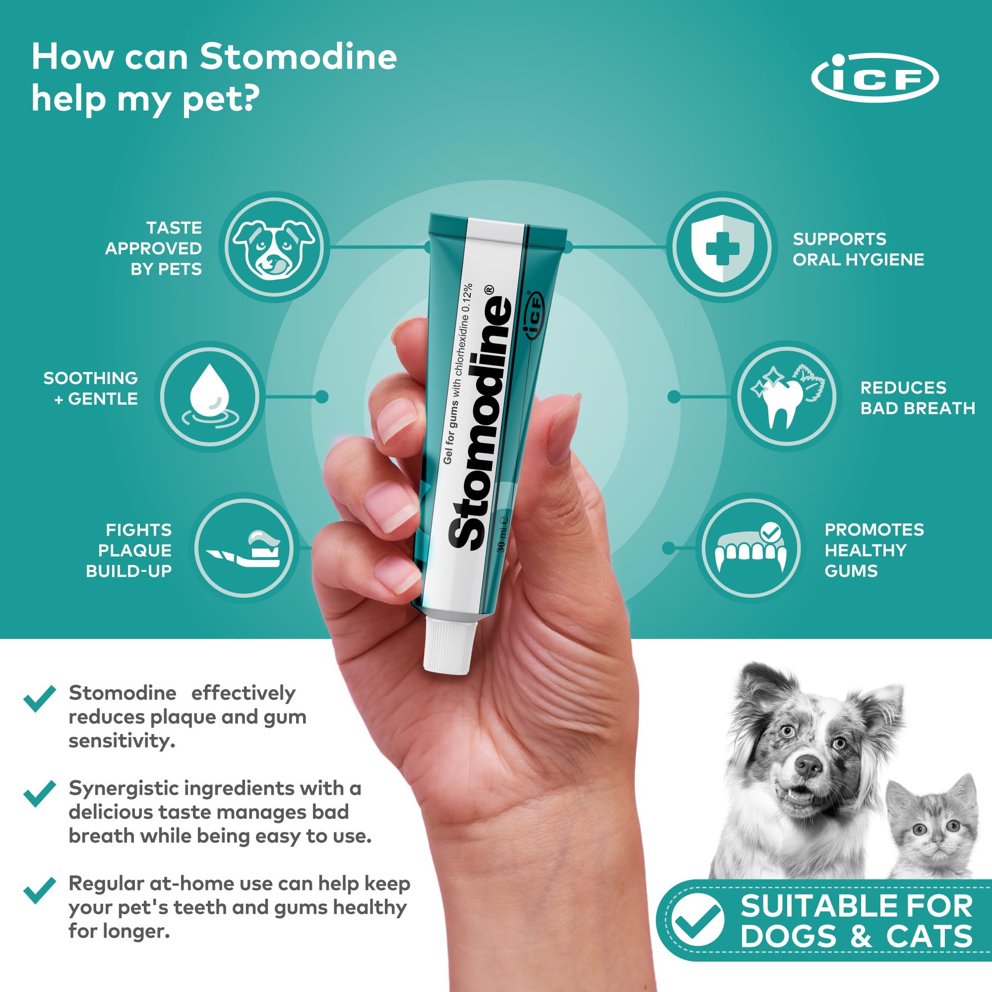 I.C.F. Stomodyne 30 Ml