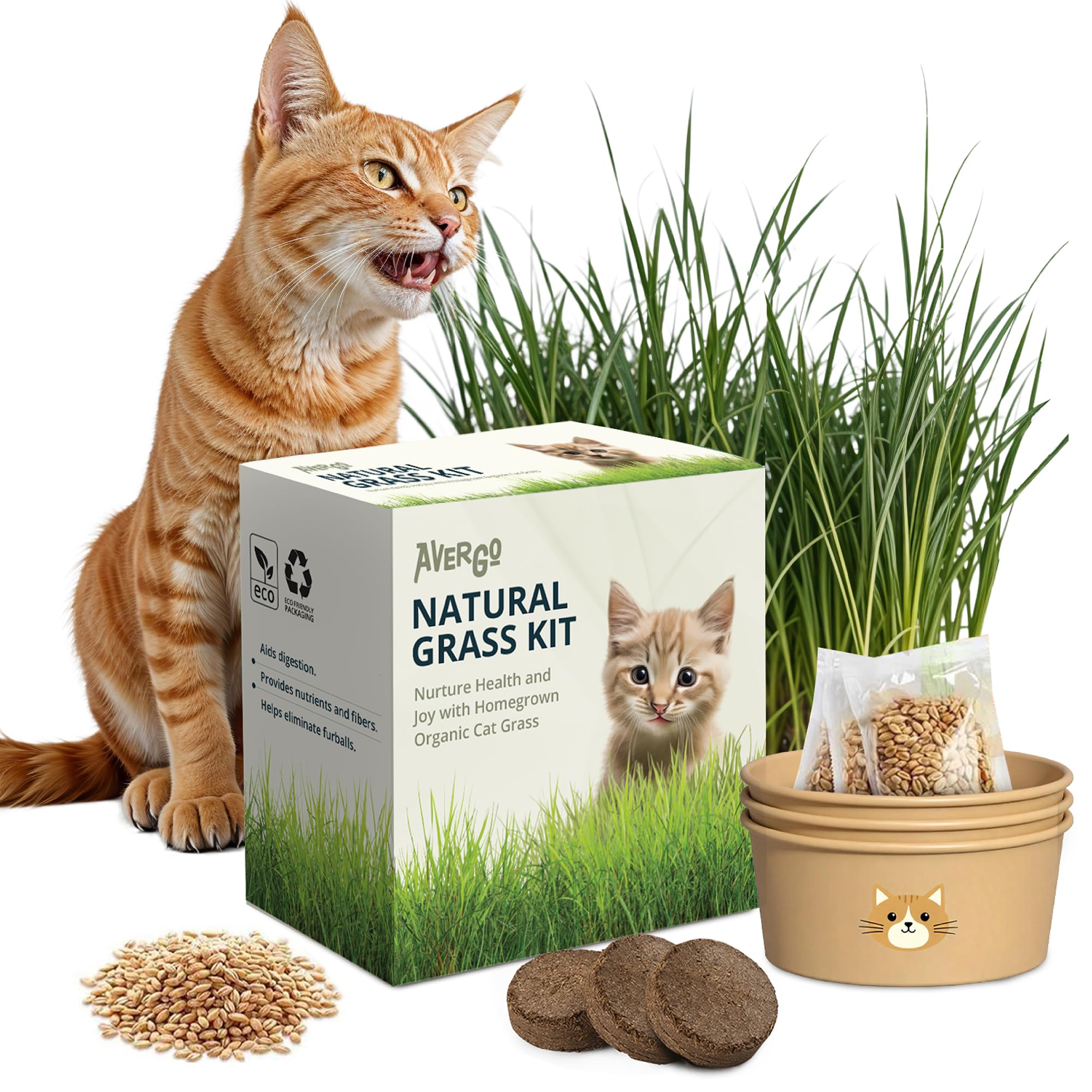 AVERGO Cat Grass Kit Basic