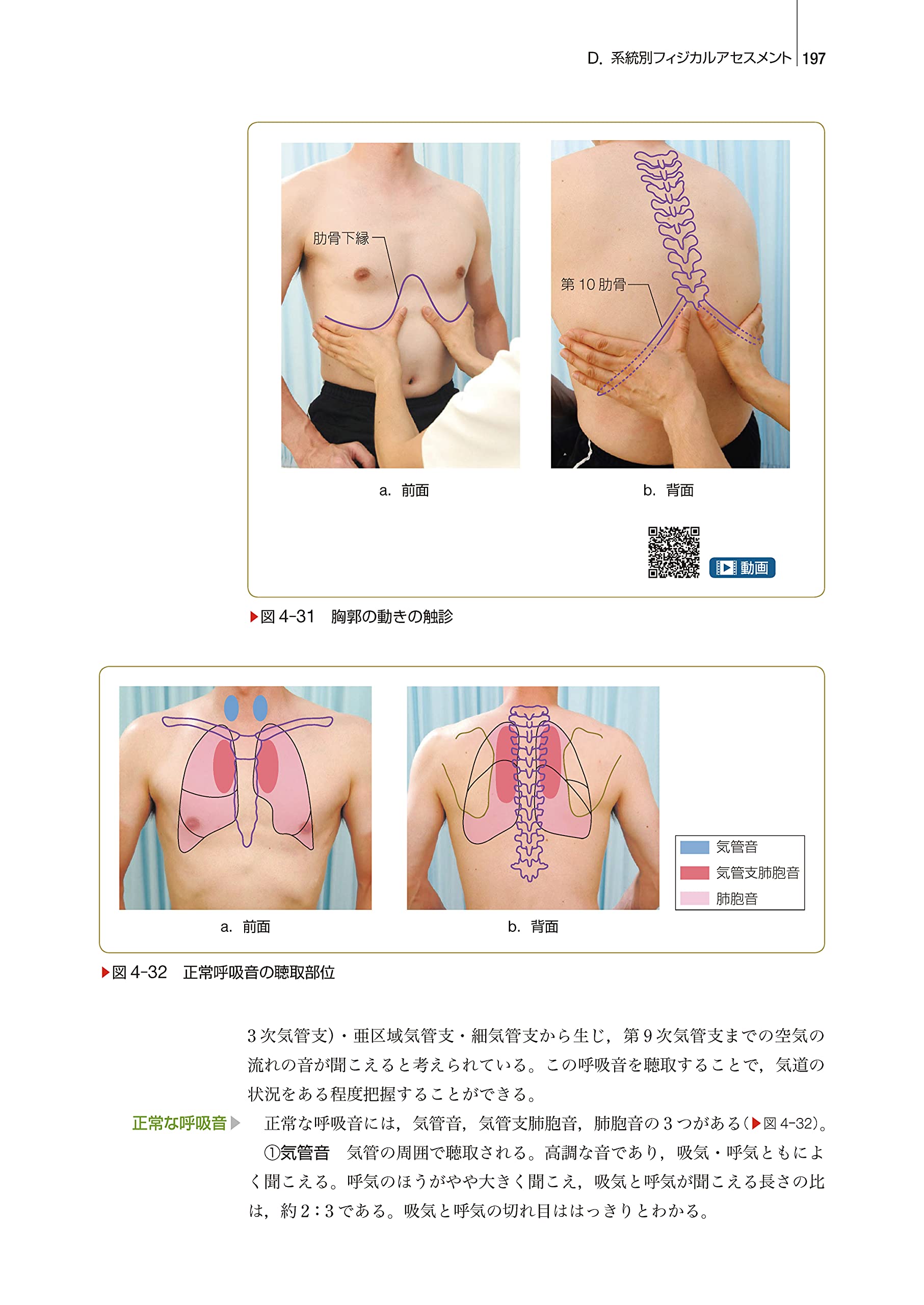 基礎看護学 2 基礎看護技術i 第18版 系統看護学講座 専門分野 茂野 香おる 配送料無料