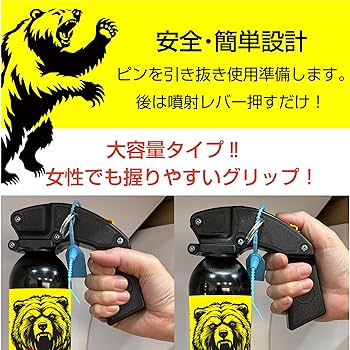 バカラ　クマのスキー バカラ クマのスキー