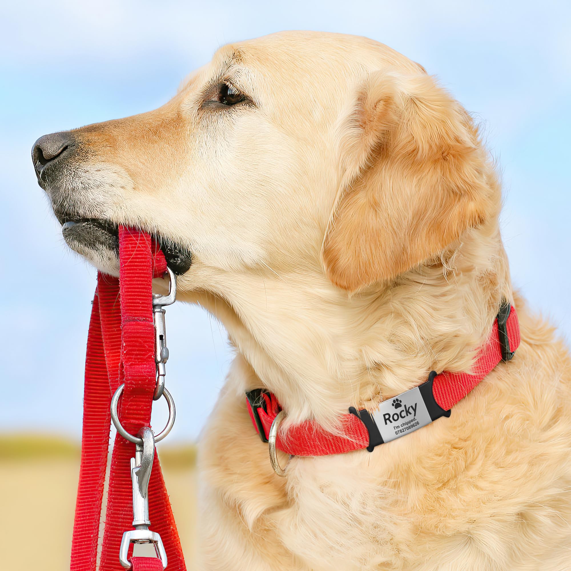 Medaille Chien Avec Gravure - Silencieuse Glisser Durable en Médaille Chien Gravée, Longue Durée et Facilement Lisible Medaille Chien Personnalisé Pour Colliers de Chiens et Chats, Icône BS-L