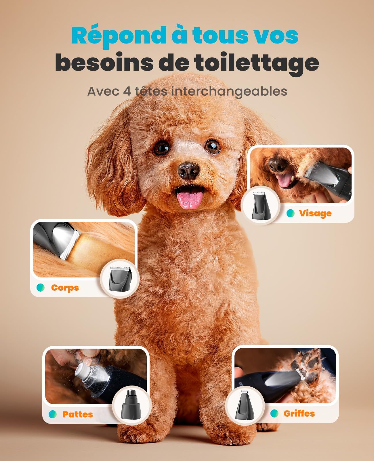 oneisall 4-en-1 Tondeuse pour Chien Professionnelle Sans Fil pour Animaux, Tondeuse à Poil Long Epais avec Lumière LED, Toilettage Rechargeable 2000mAh, Rasoir pour Chien et Pattes (Bleu)