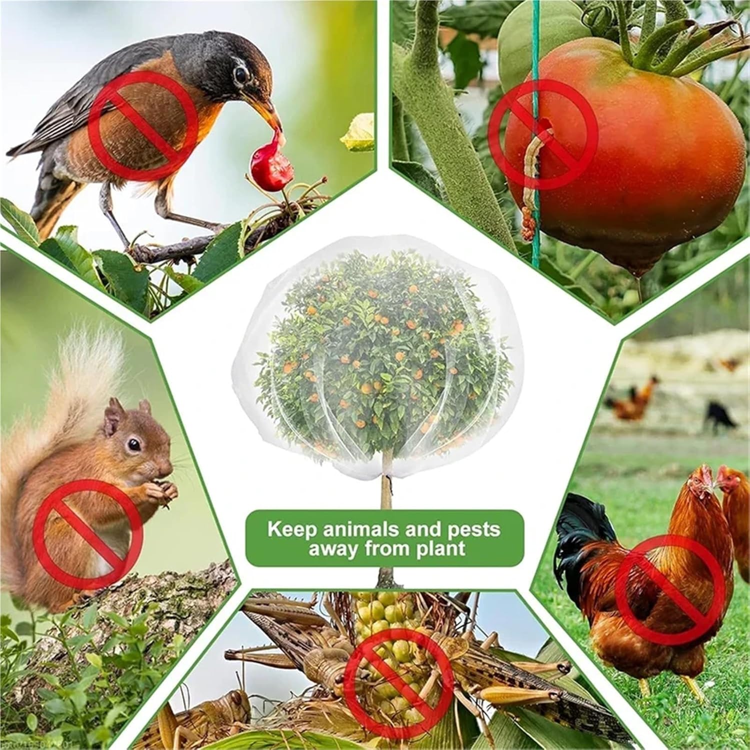 Tree Netting Garden Netting Bird Insect Barrier Plant with Zipper and Drawstring Cover(White-0.7x1m-3PCS)