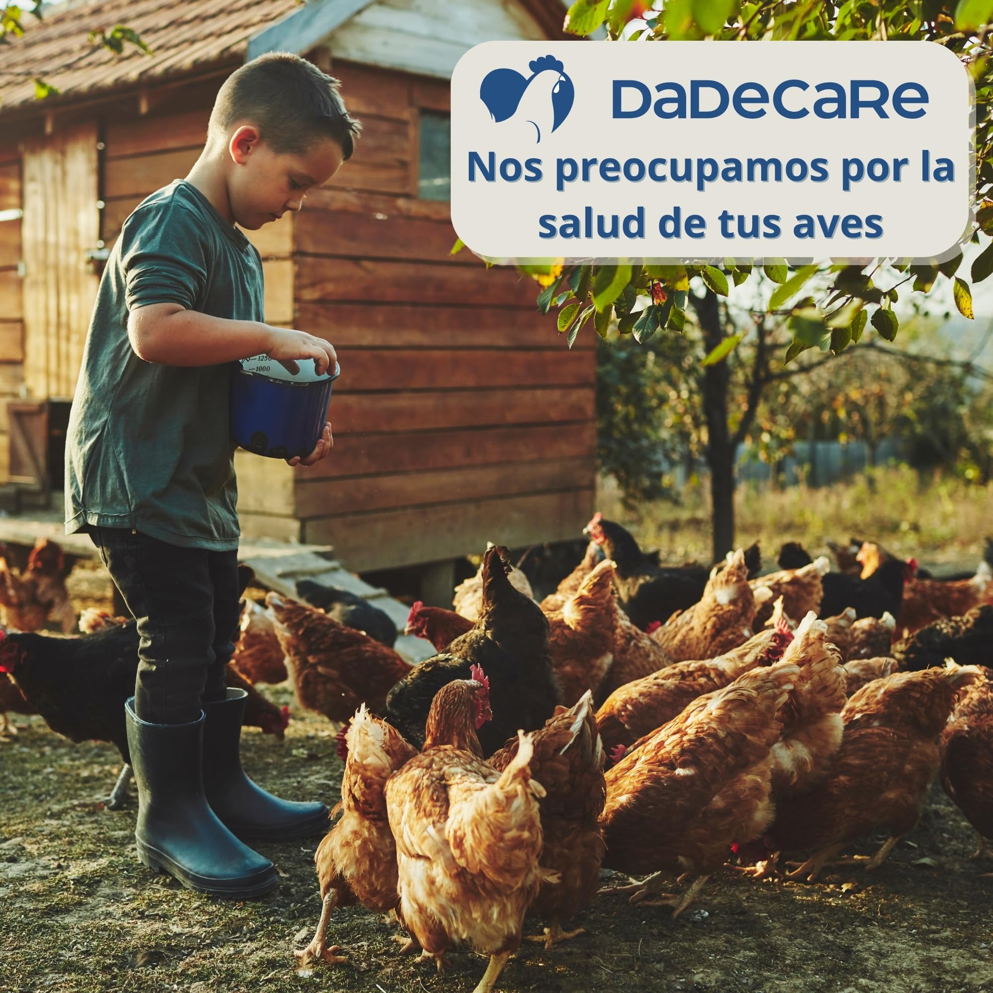 Preventivo Parasitos Internos Natural 250 ml - Gallinas, Aves de Corral y Exóticas - Previene y Trata Problemas digestivos - Fórmula Natural - Extracto de Ajo y Oregano - Inncare