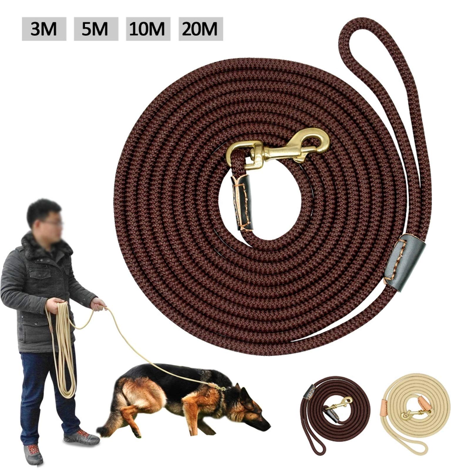 Guinzaglio Durevole Del Guinzaglio Del Guinzaglio Del Guinzaglio Del Guinzaglio Del Guinzaglio Del Guinzaglio Del Guinzaglio Della Corda Dell'animale Domestico Per Cani Medio Di Grandi Dimensioni Anti