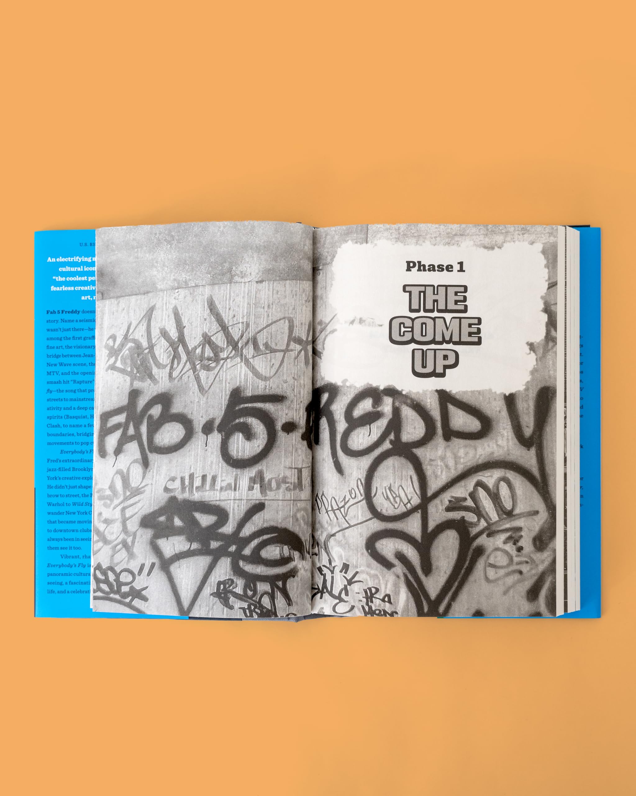Everybody's Fly /anglais