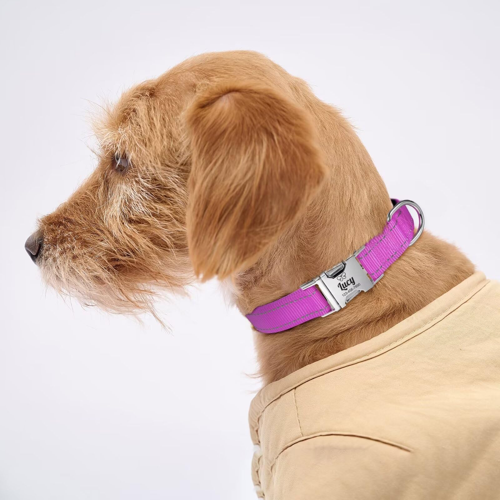 Uiopa Collarino Gatto Personalizzato, Collare Per Gatti Con Nome E Numero Di Telefono, Collare Gatto Antistrozzo Con Fibbia Di Sgancio Per Gatti E Cani, Regolabile 21-28cm - Foto 5