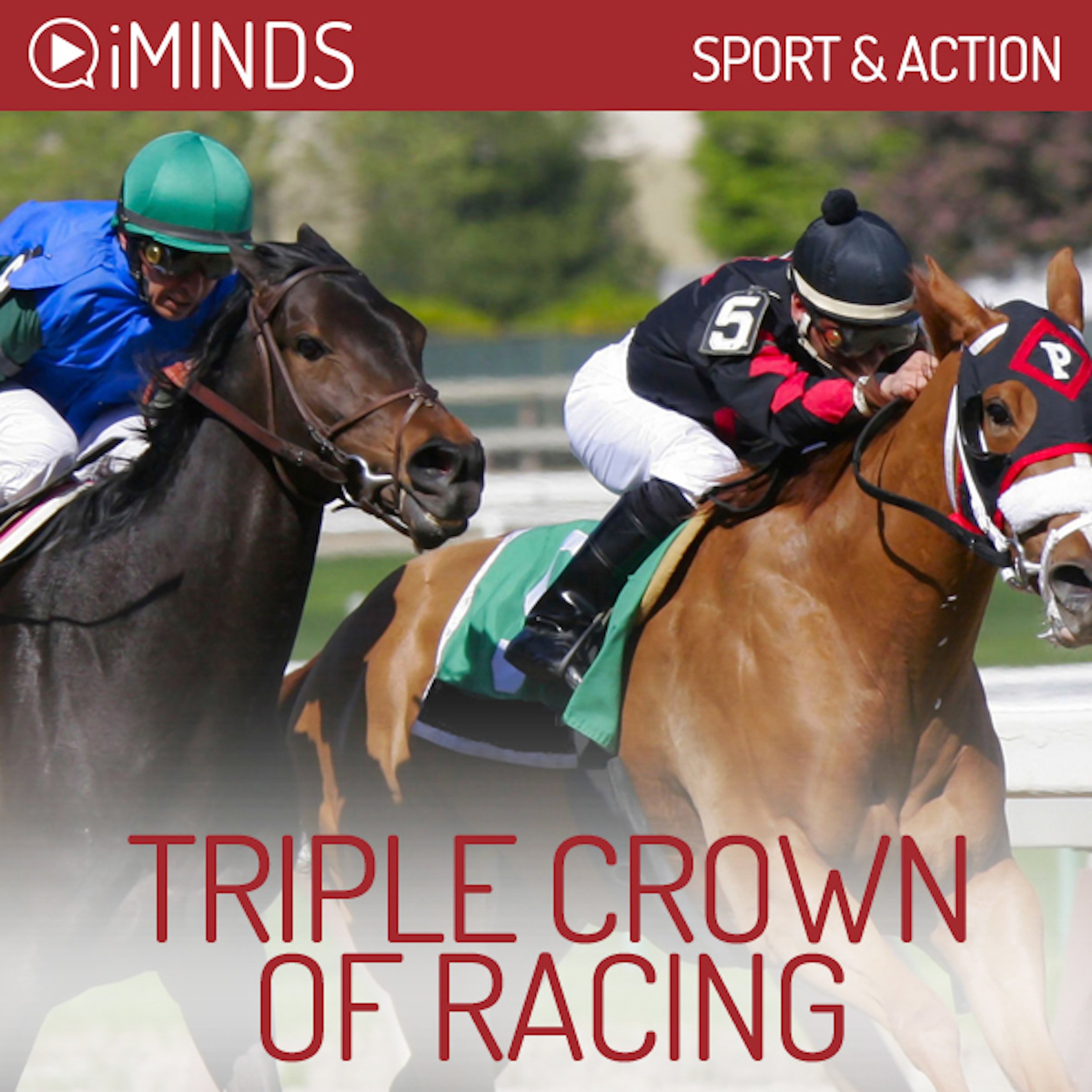 Cover art for Triple Crown of Racing
