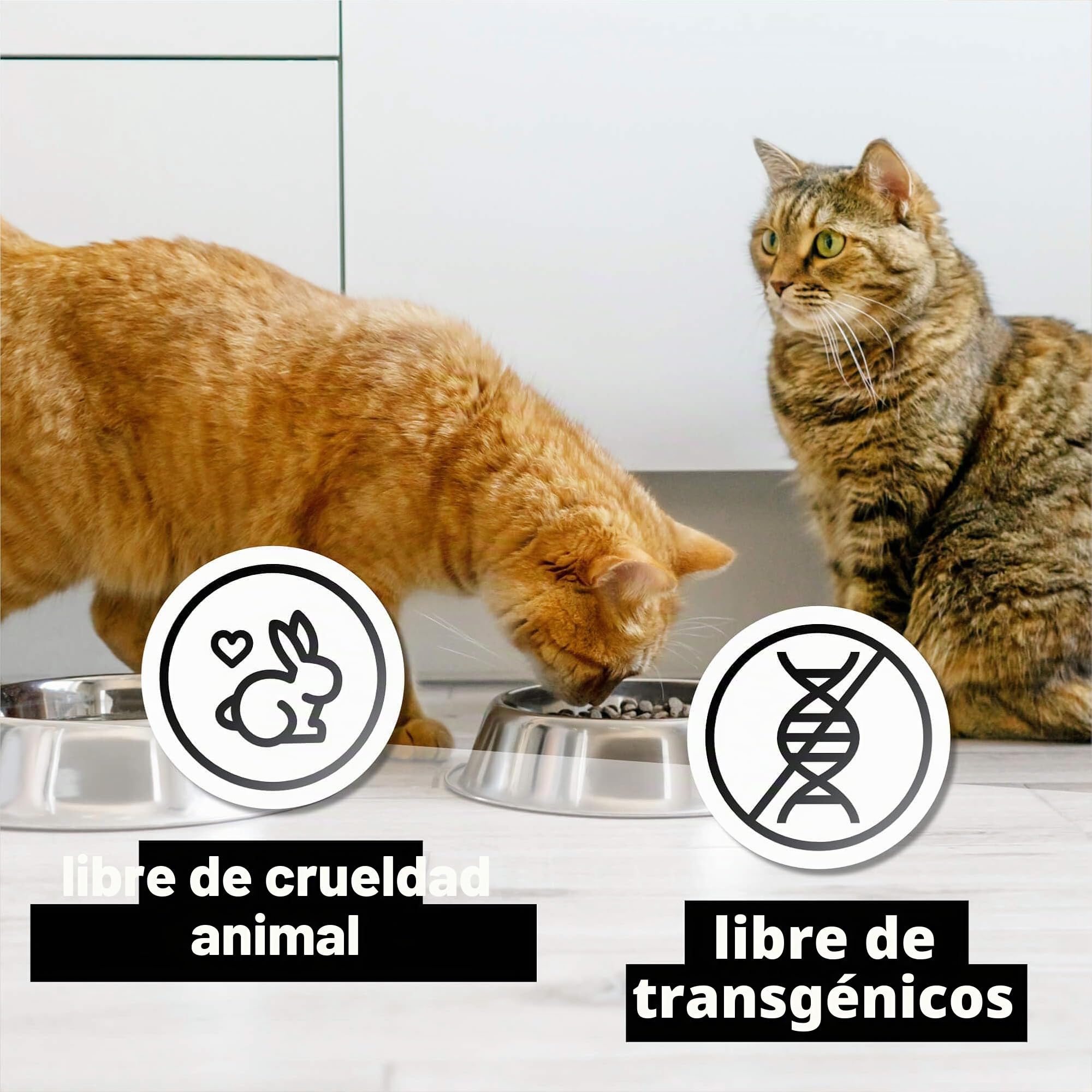 catz finefood Purrrr Collection Comida húmeda para Gatos XXL, Paquete de Comida húmeda Gourmet para tu Gato, sin azúcar ni Cereales, sin Gluten y monoproteína con Alto Porcentaje de Carne (24 Bolsas