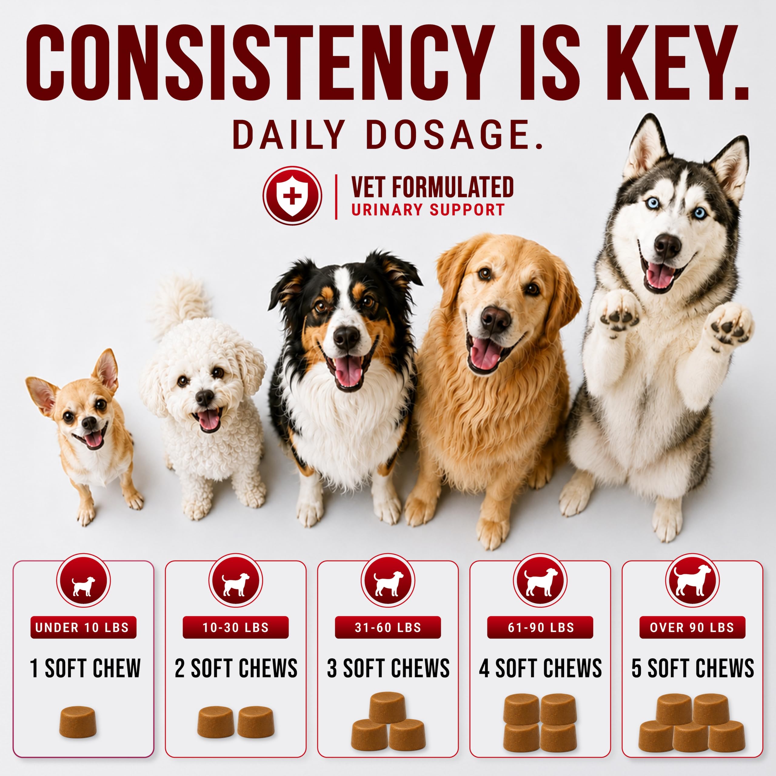 Dog UTI Treatment - 250 Chews - Cranberry Supplement for Dogs Multivitamin — Amazon image 8