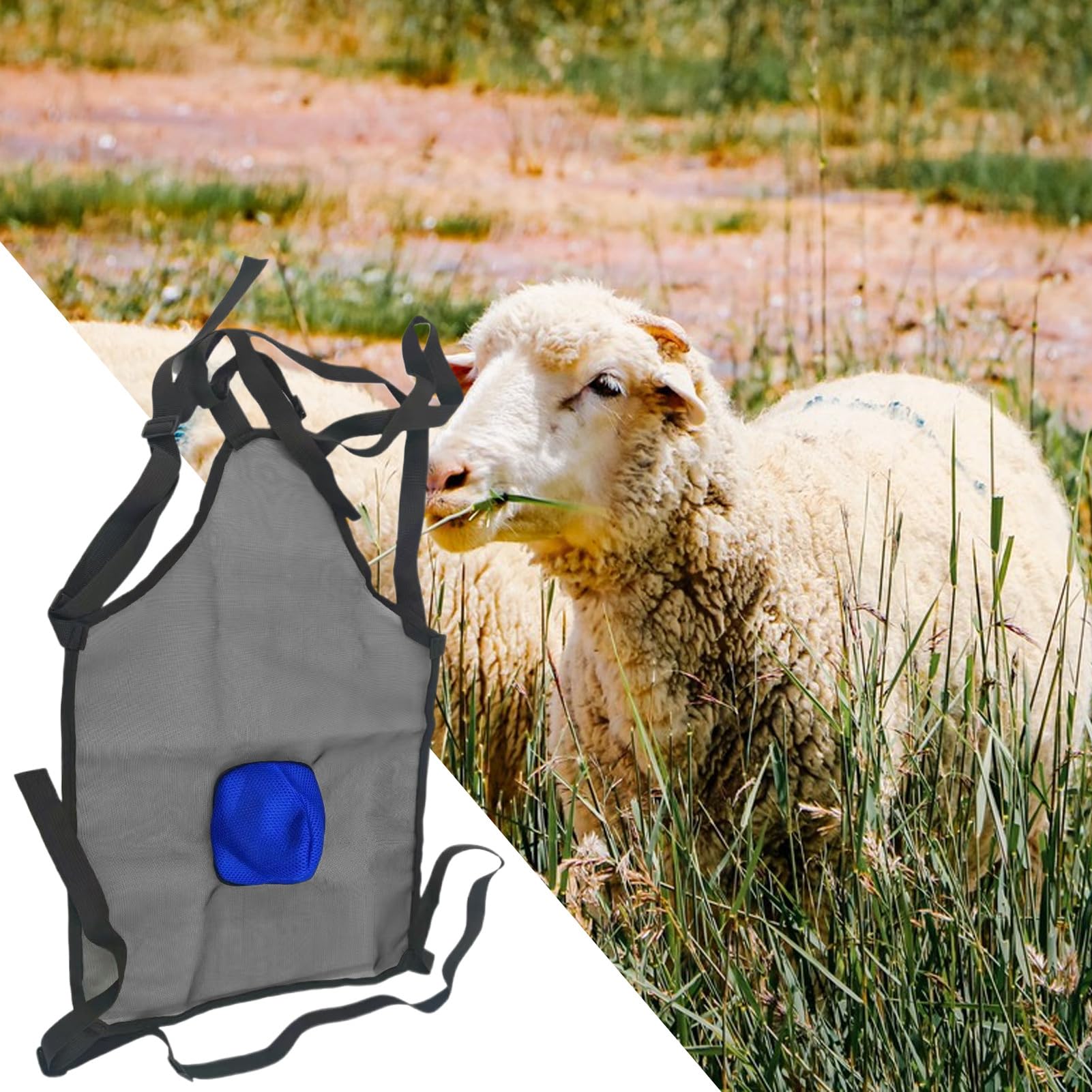 Generico Grembiule Per Capre | Grembiule Anti Riproduzione Per Capre,Attrezzatura Agricola, Strumento Per Evitare La Riproduzione Di Animali Da Compagnia Bovini Bestiame