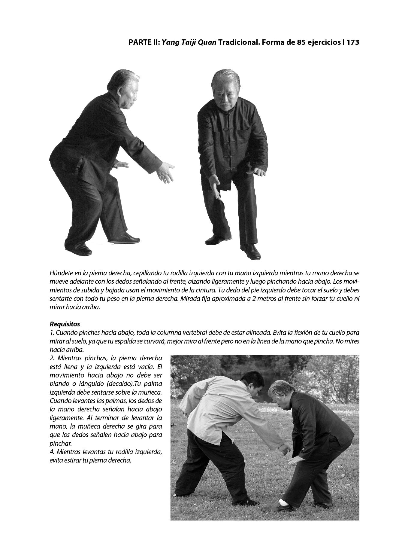 El Auténtico Taiji De La Familia Yang: instrucciones paso a paso (ARTES MARCIALES)