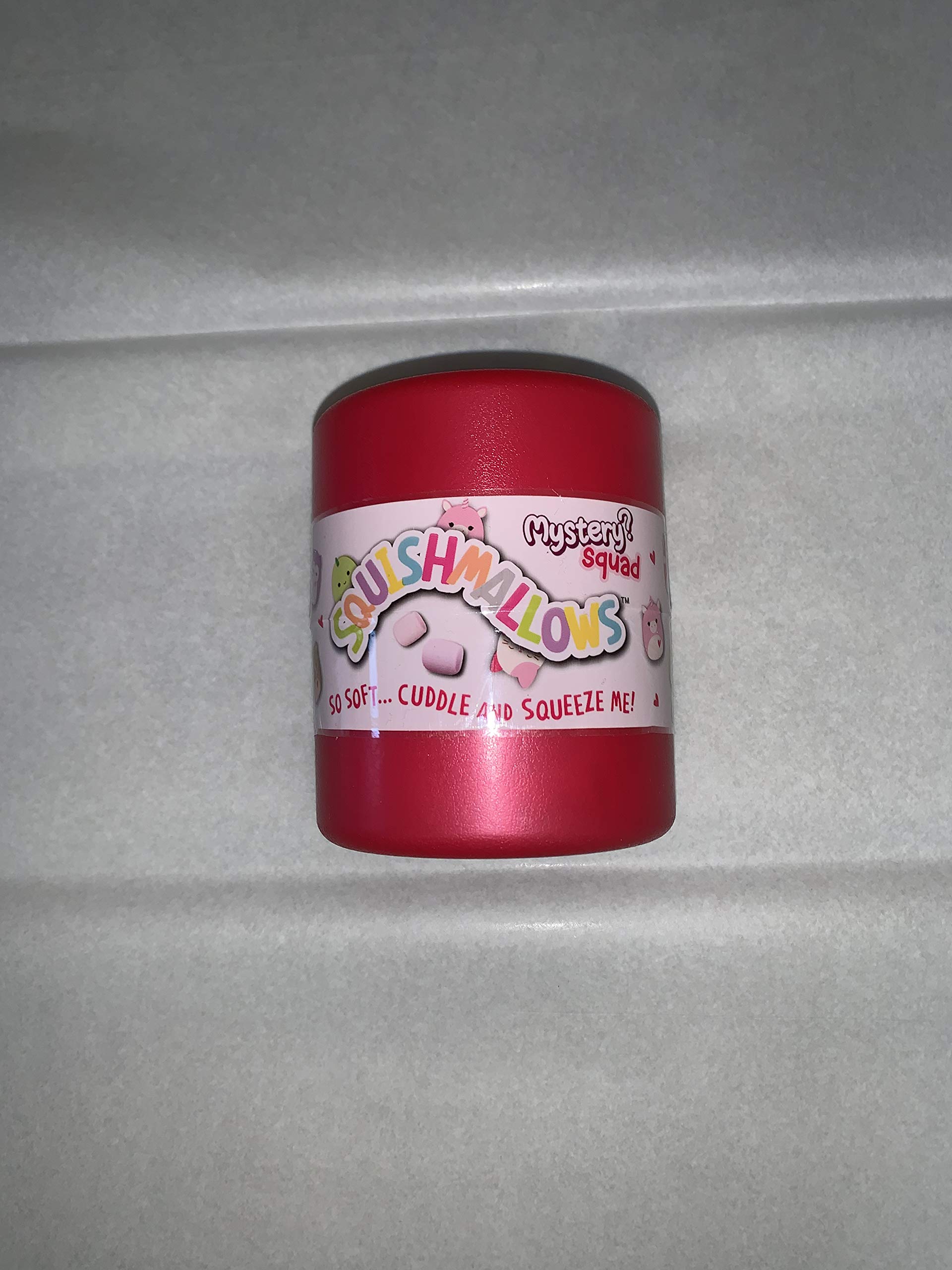 squishmallow blind box