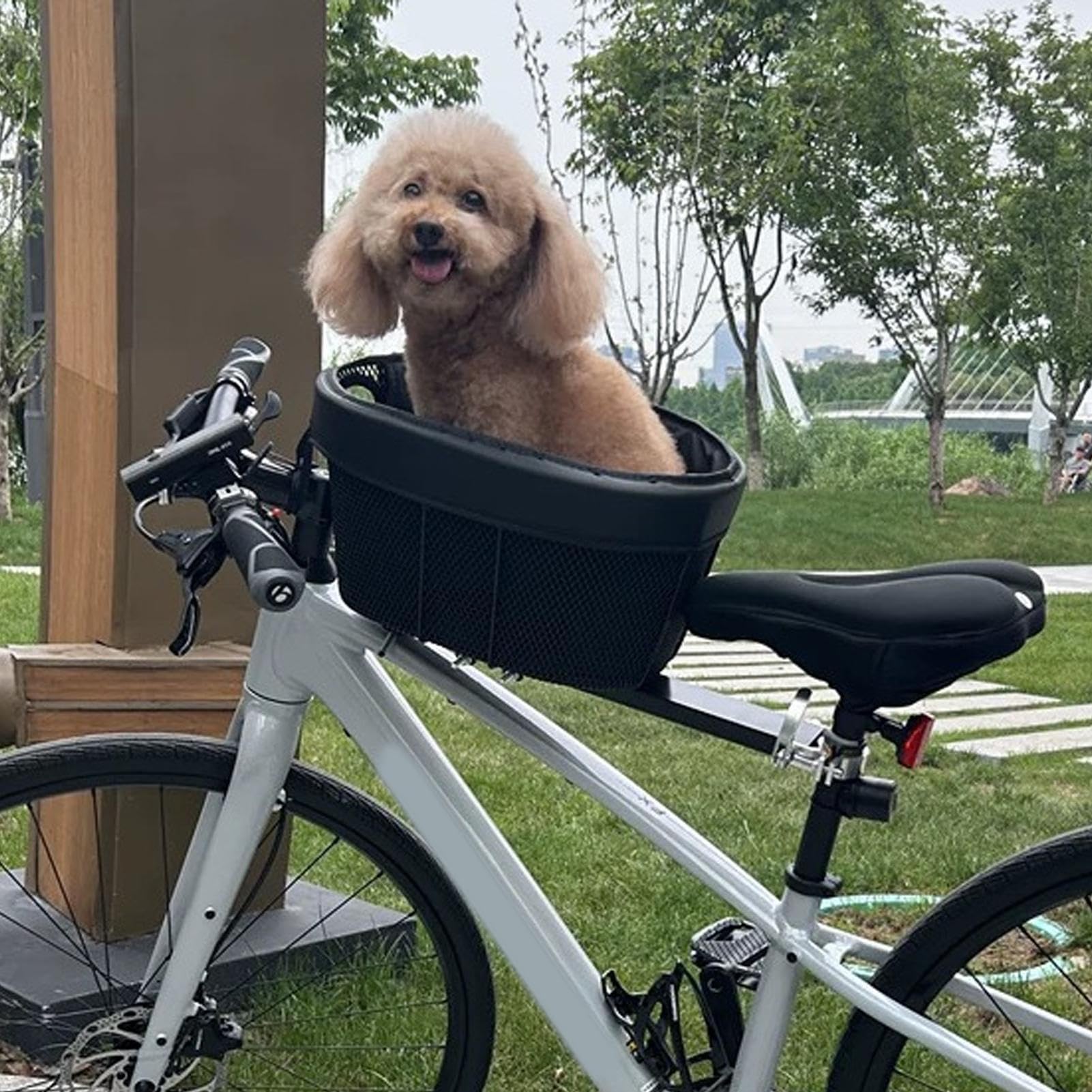 Portabici rimovibile – Cycle Pet Basket, cestino pieghevole impermeabile | Pet – Carrier – Outdoor multiuso – Cestino per la spesa, leggero per campeggio e avventure di viaggio | Pet – Carrier – Outdoor multiuso – Cestino per la spesa, leggero per campegg