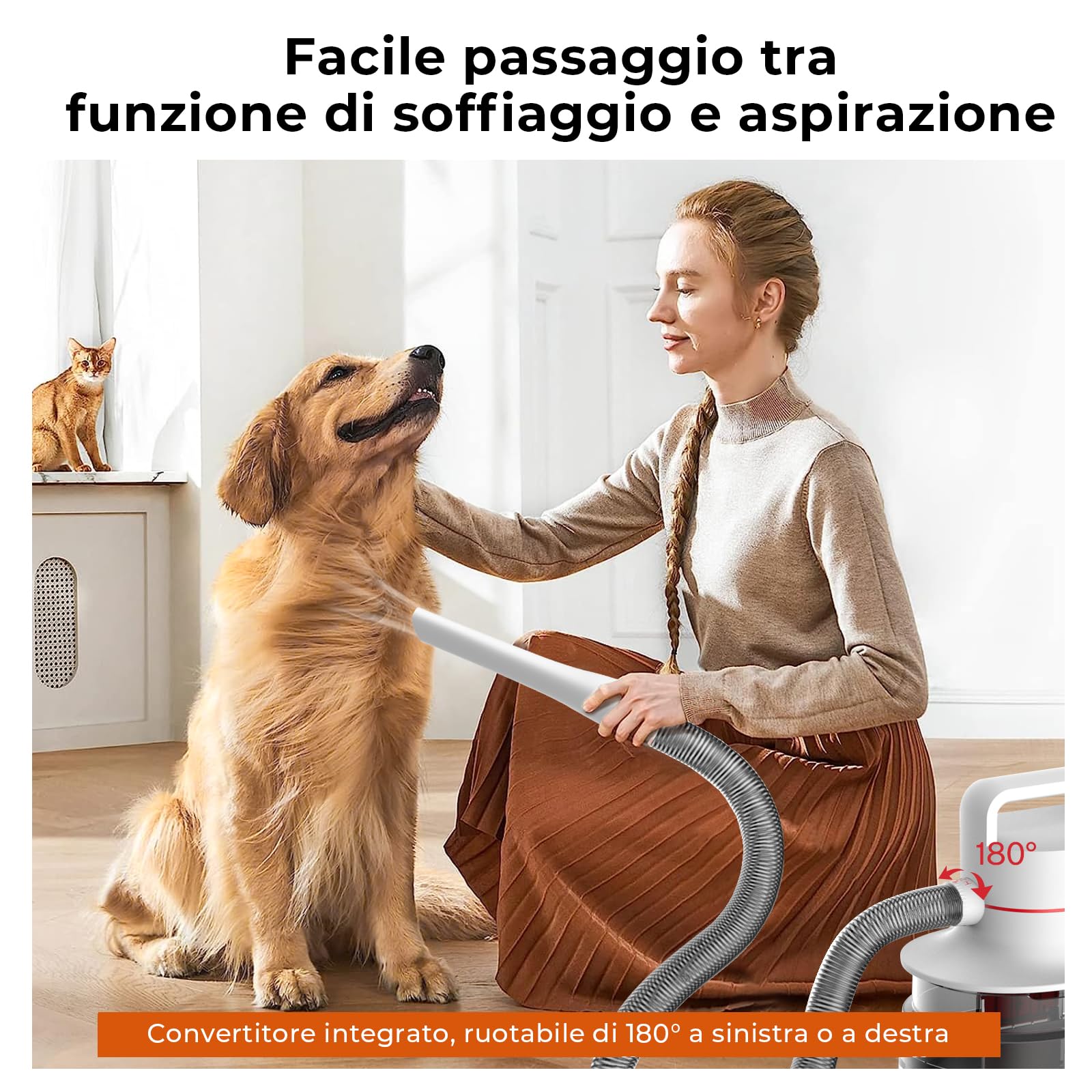 CAREPET Kit Toelettatura Asciugatura e Aspira peli Cane e gatto Per Animali Domestici - Tosatrice per Cani e Gatto Pelo Lungo Professionale - Strumenti per la toelettatura Depilazione Aspira peli