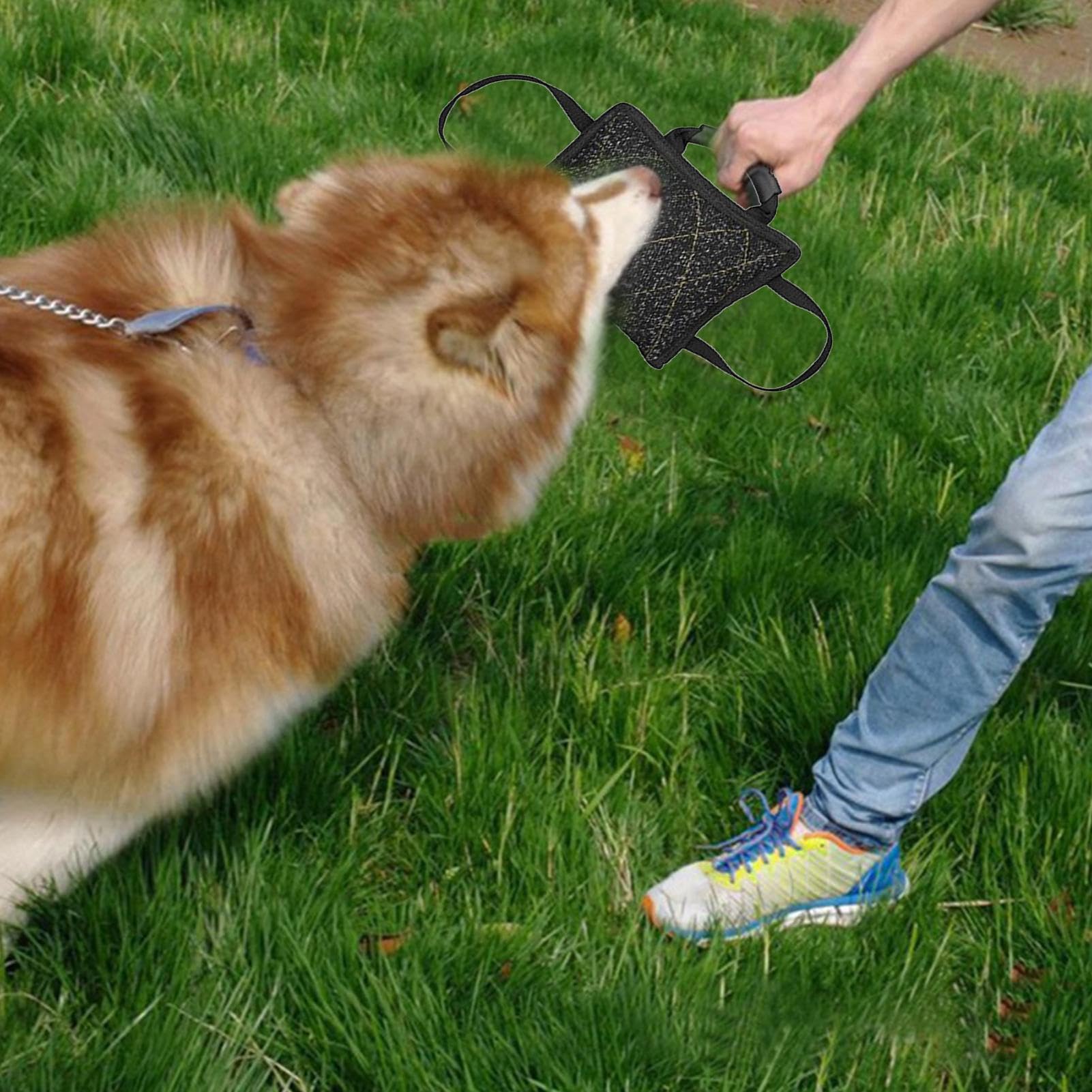 Hundebisskissen – langlebiges Zerr-Trainingskissen, gepolstertes Griffspielzeug | -Tauziehen-Beißkissen-Spielzeug für Welpen, mittelgroße Hunde, große Hunde, Outdoor-Übungen, Gehorsam, Agility
