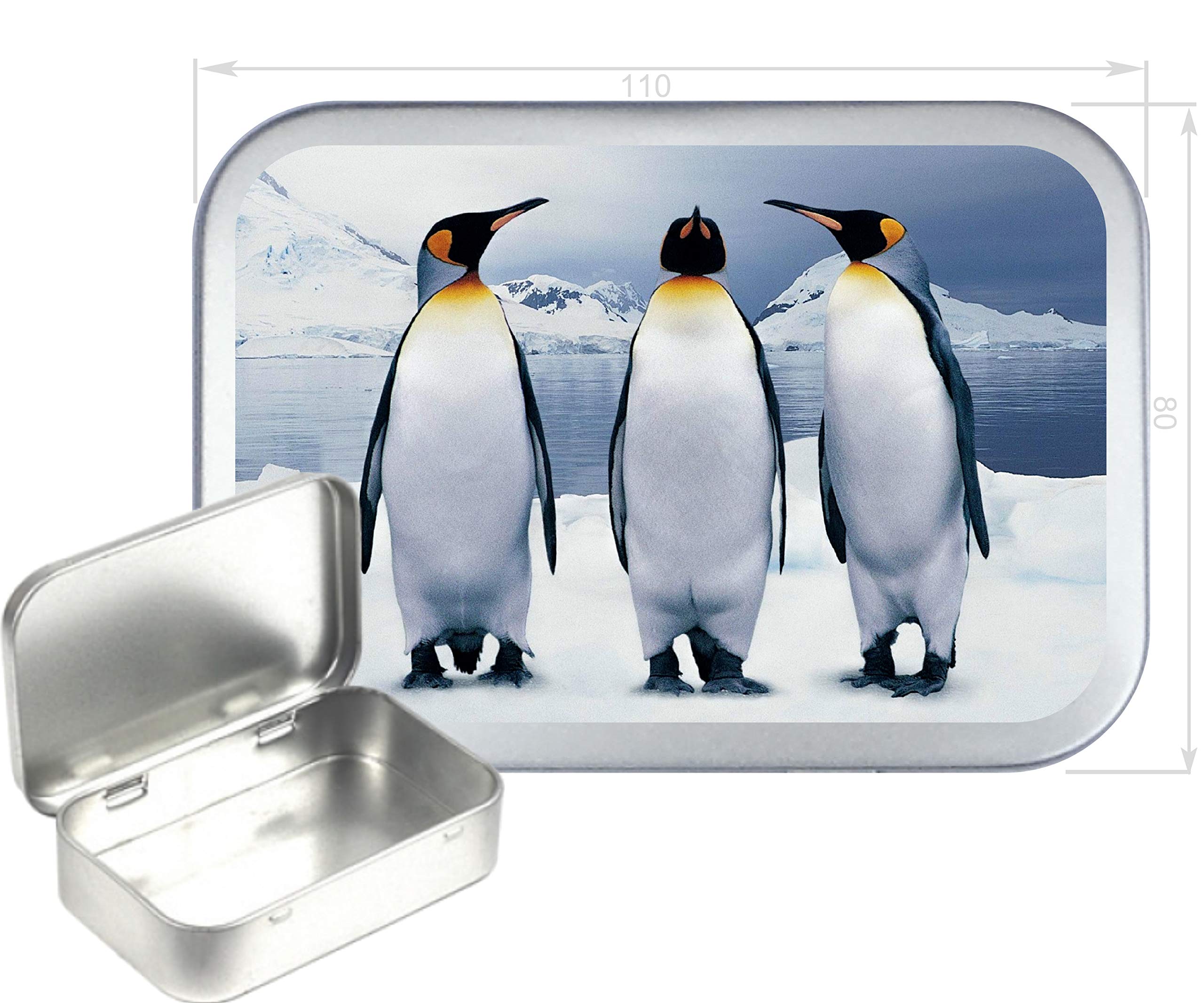 TEEZ Penquin 150ml Silver Hinged Tobacco Tin, Hinged 2oz Tobacco Tin